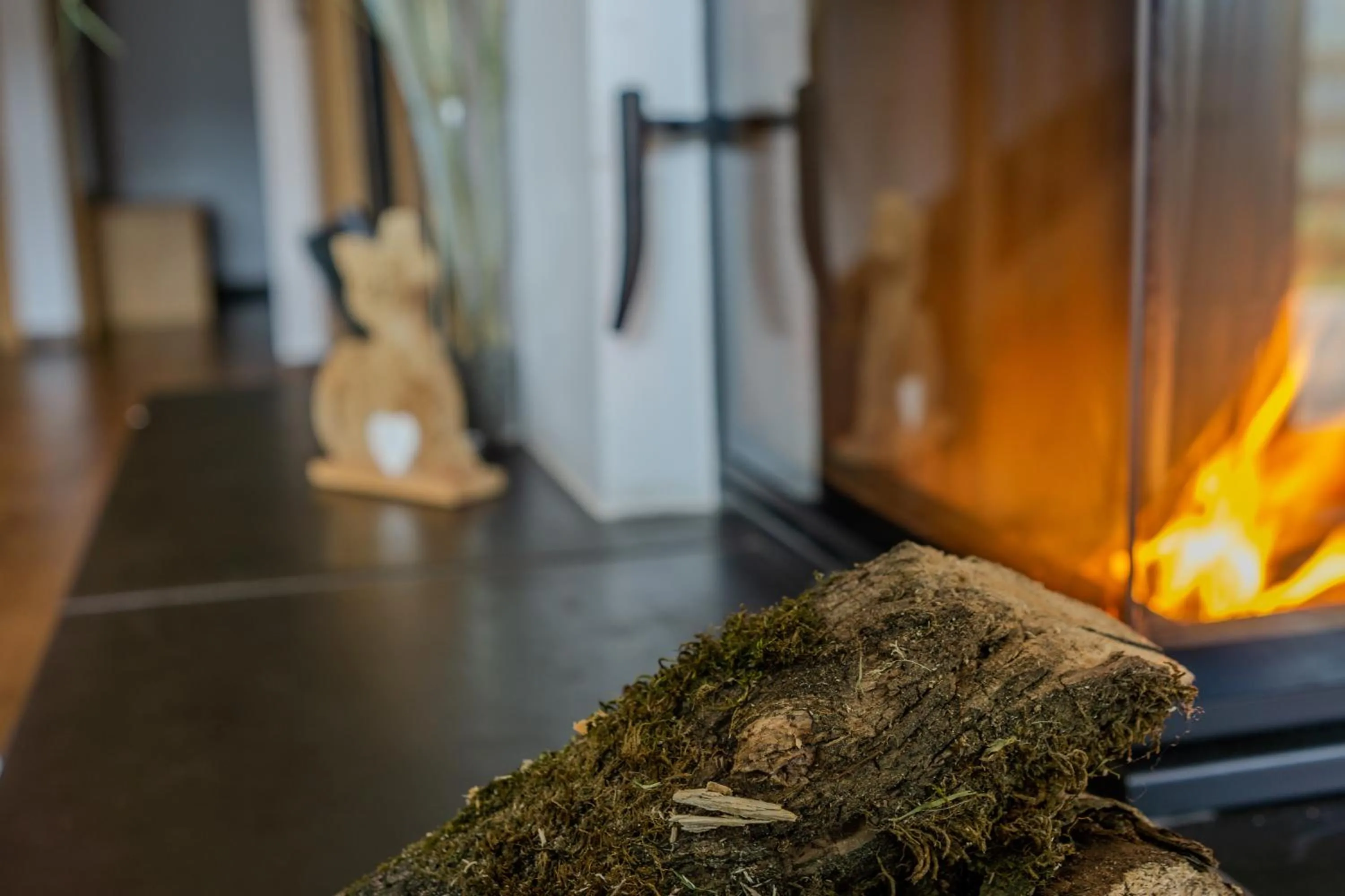 fireplace in Gut Stein Panoramalodge