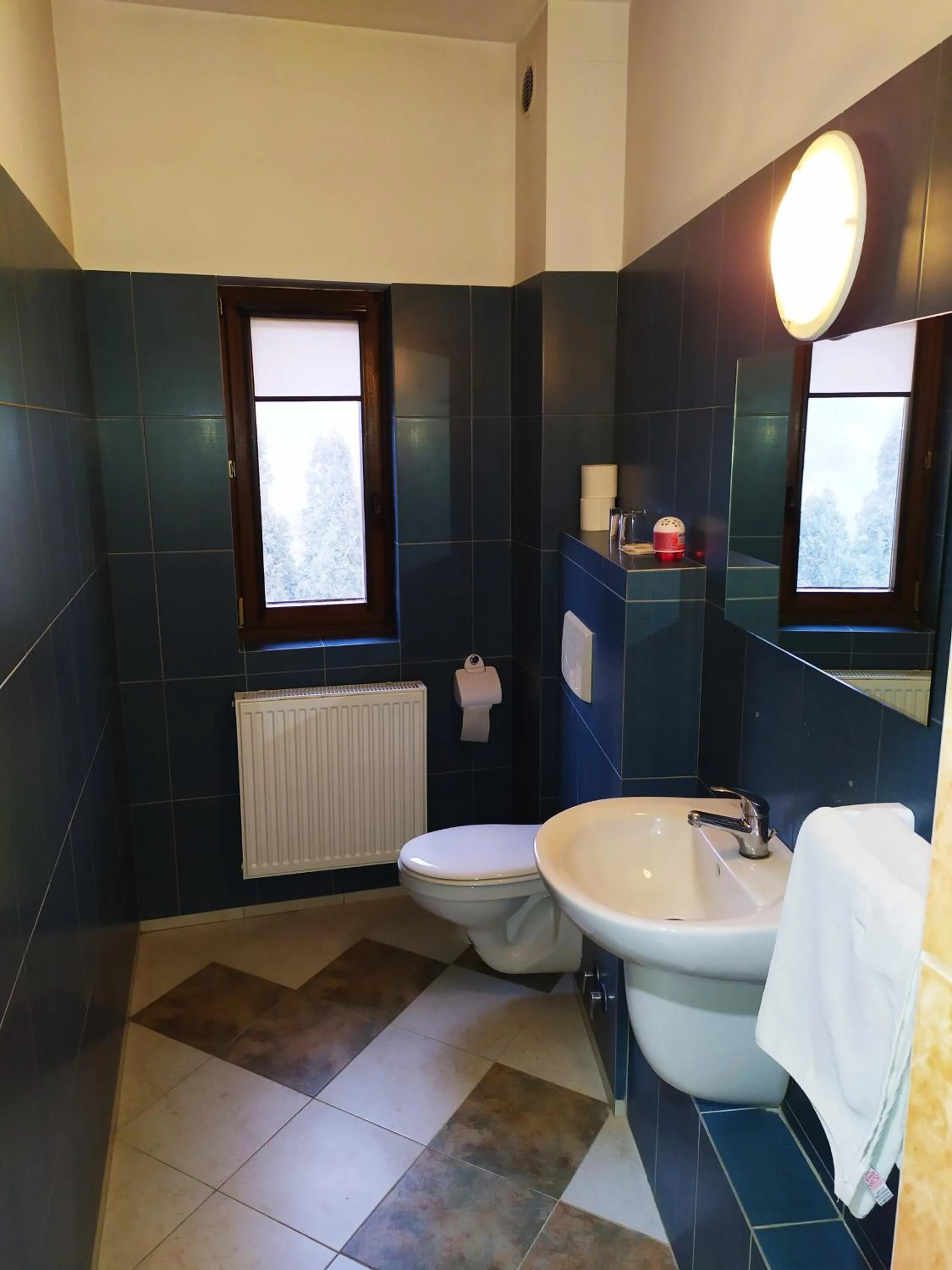 Bathroom in Gościniec Czarci Młyn