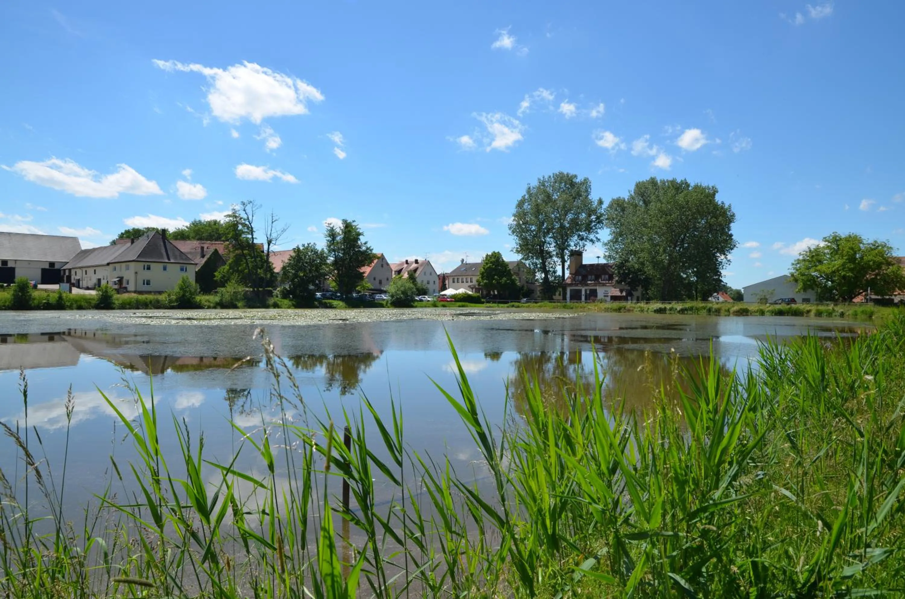 Area and facilities in Landhotel Seerose