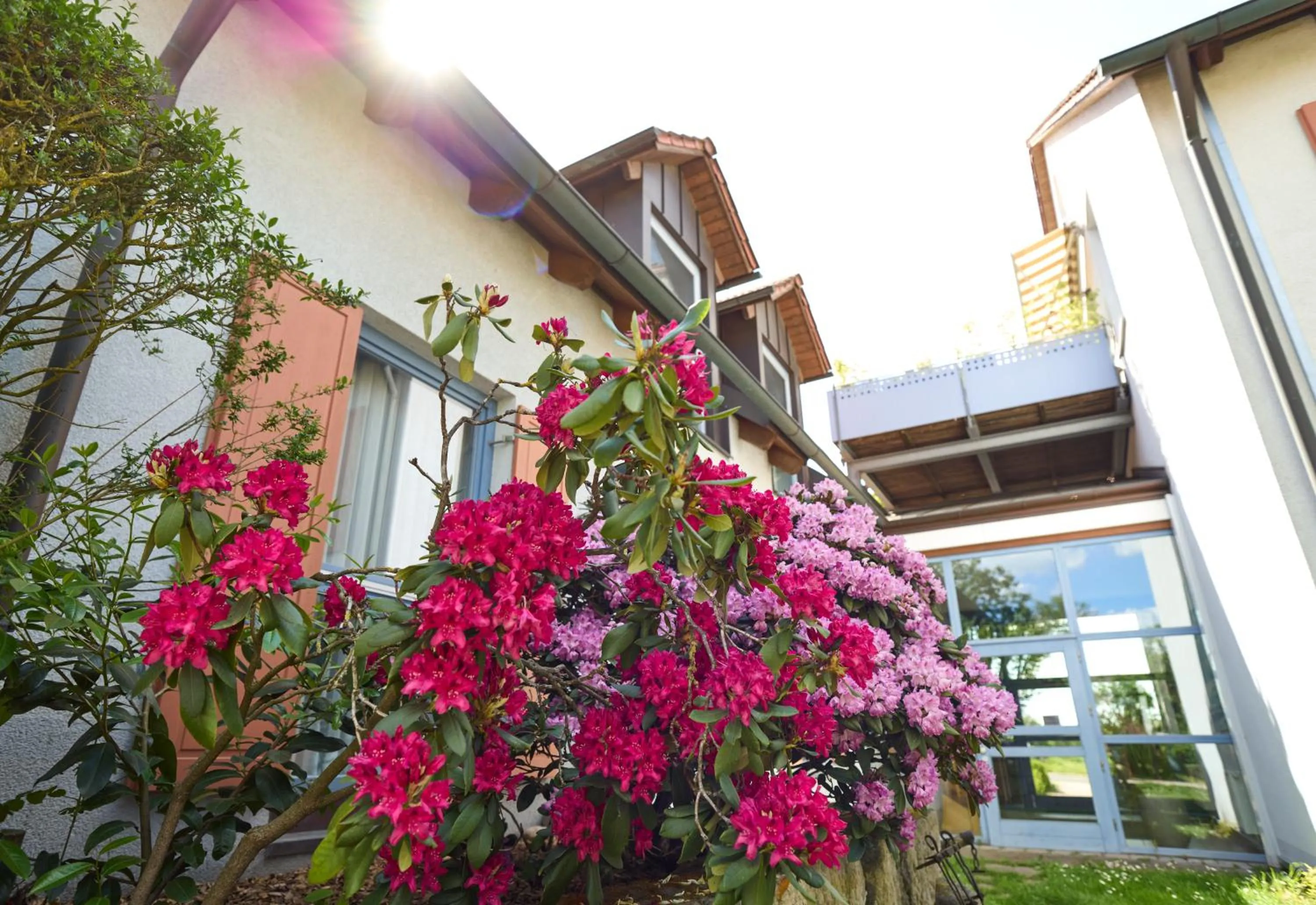 Property building in Landhotel Seerose