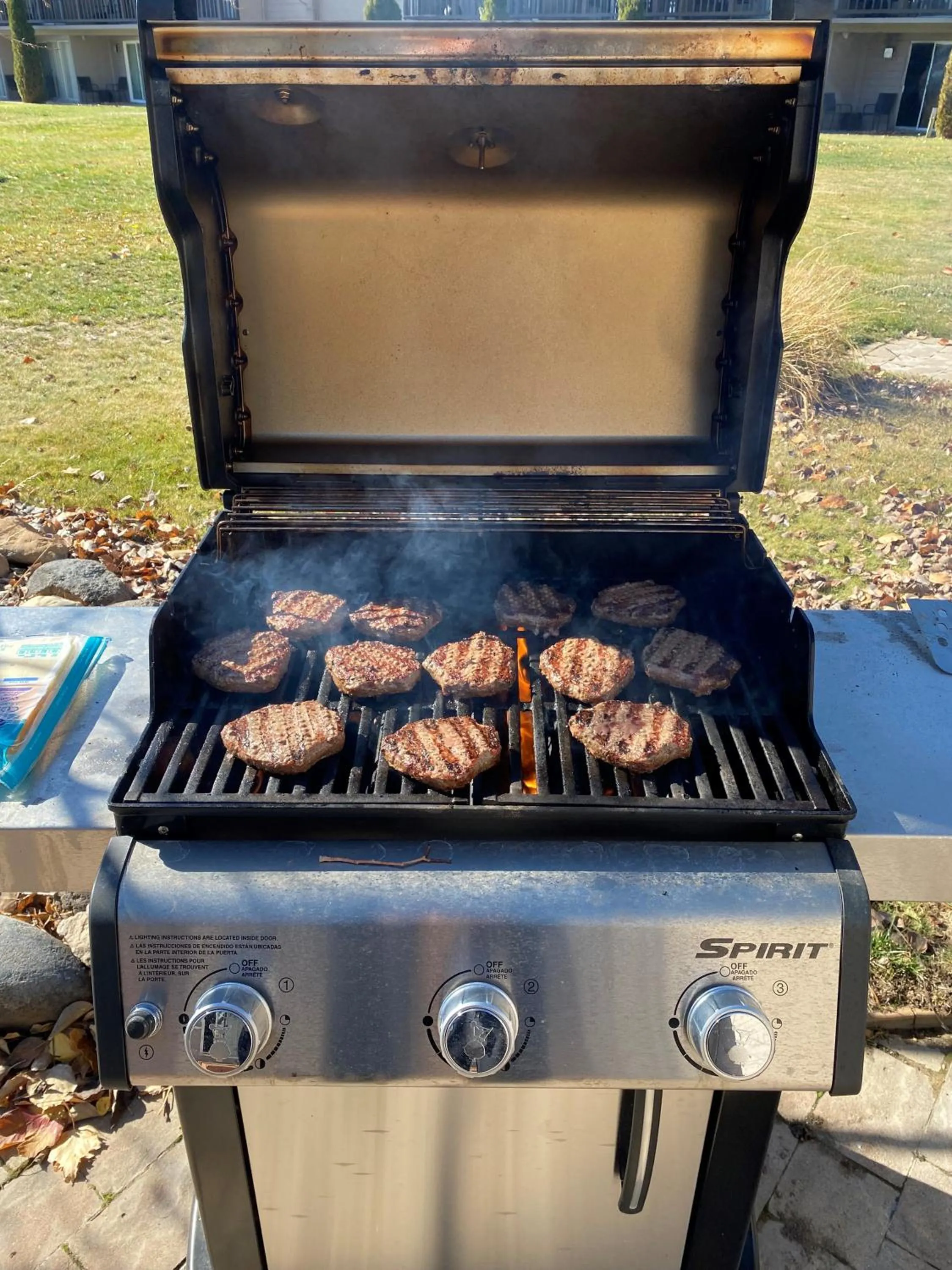 BBQ facilities in Tahoe Sands Resort