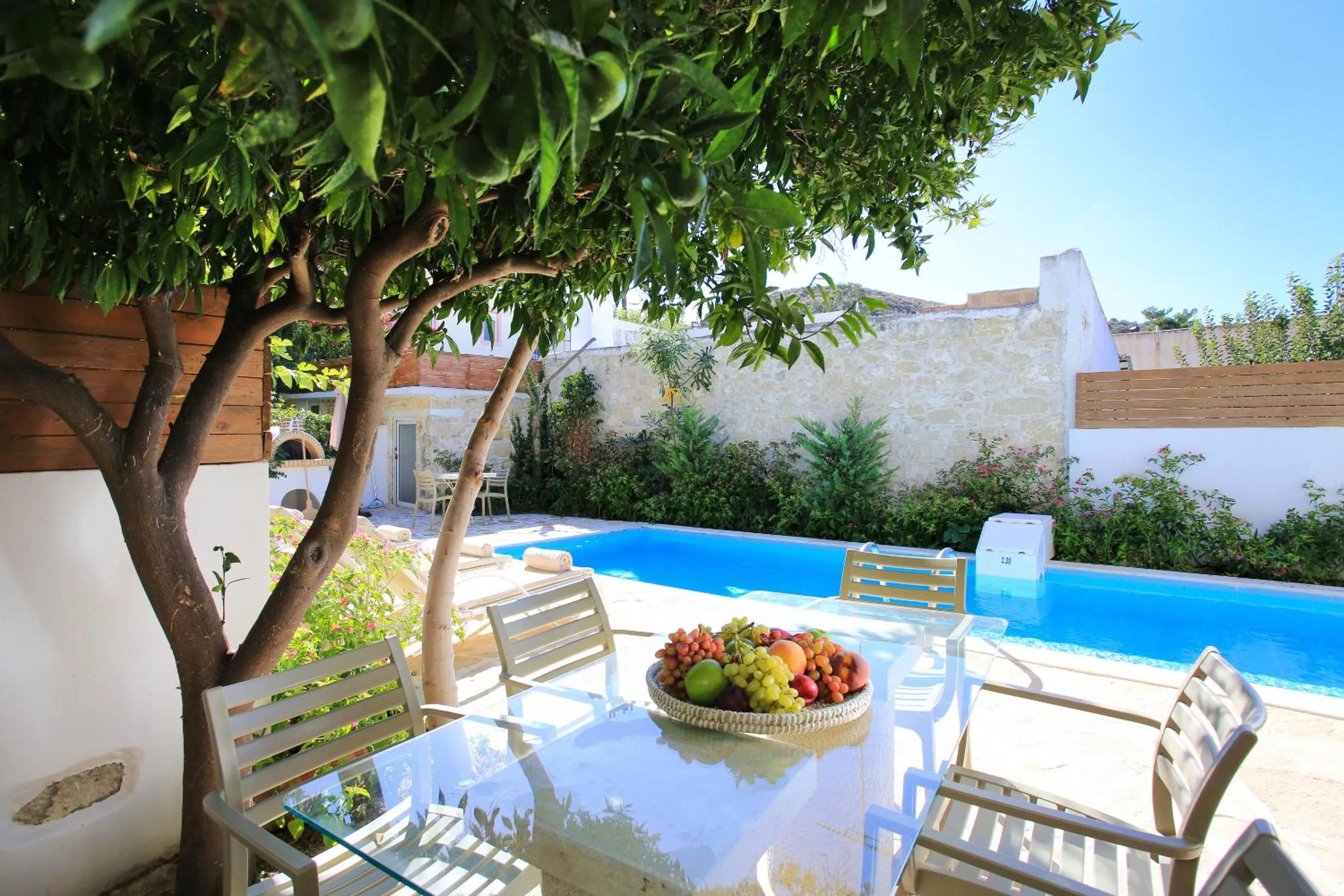 Garden in Villa Oasis