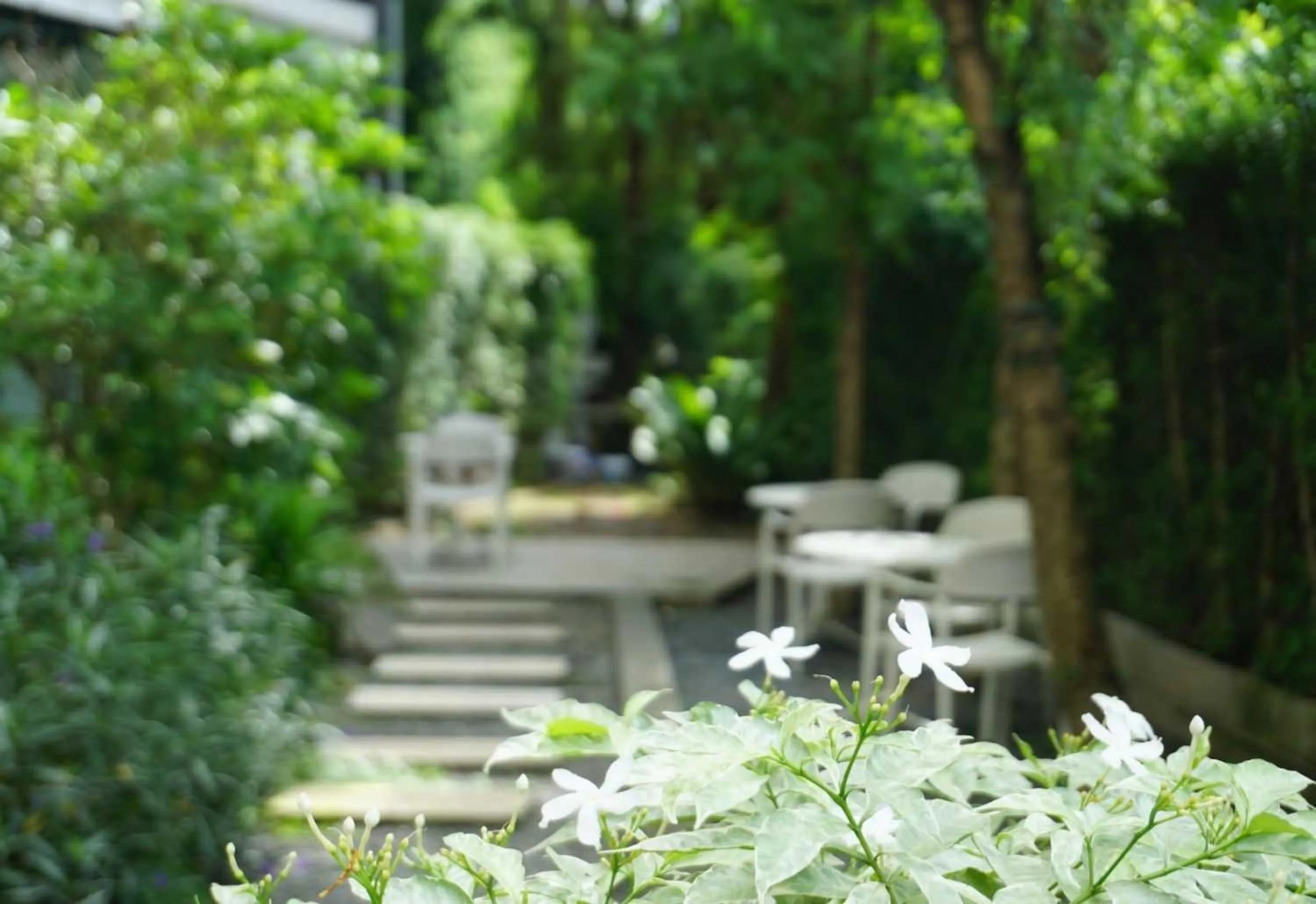 Garden in Collection O The Singha Chiangmai Hotel