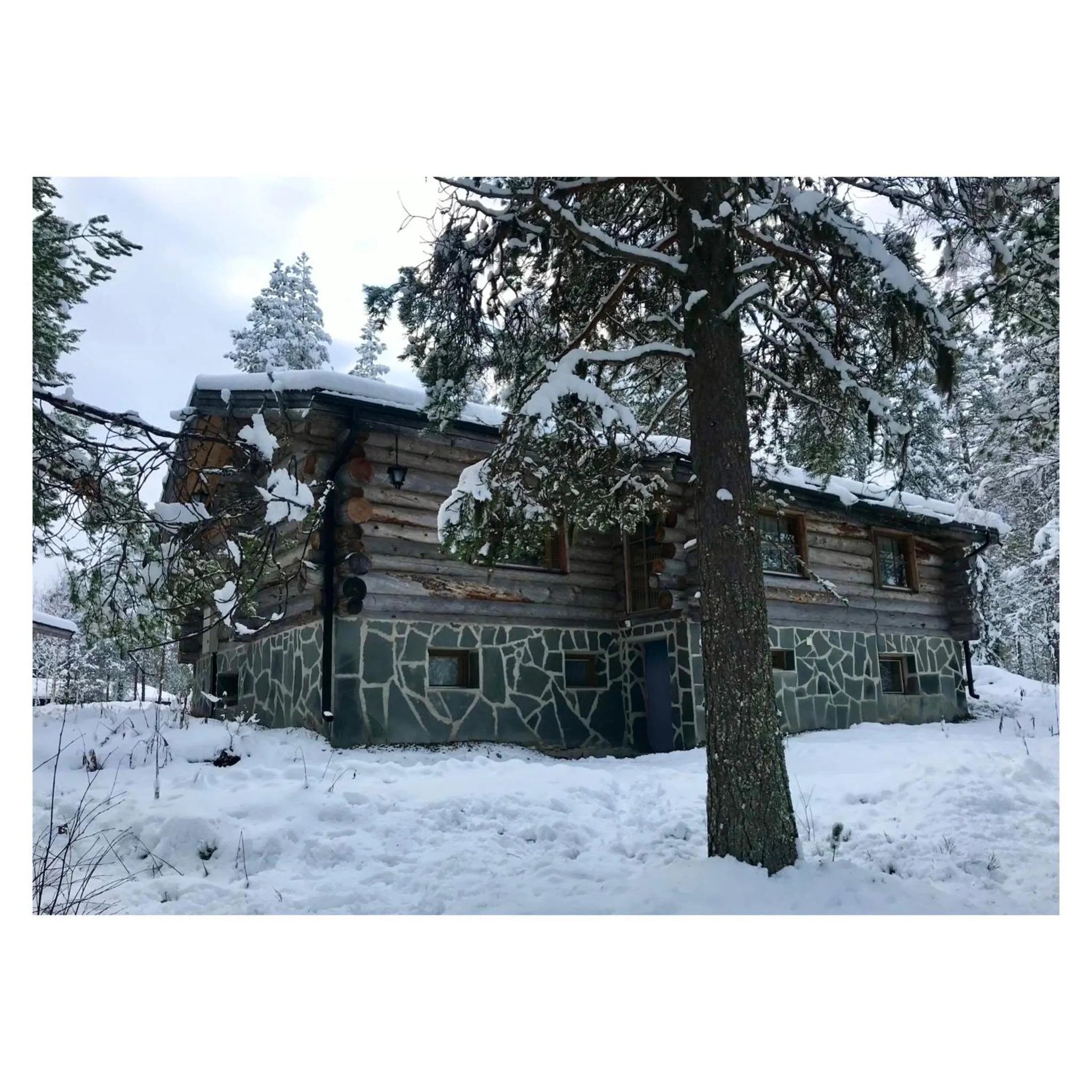 Kelogornitsa - Levikeskus 2 km - ski bus 300 m