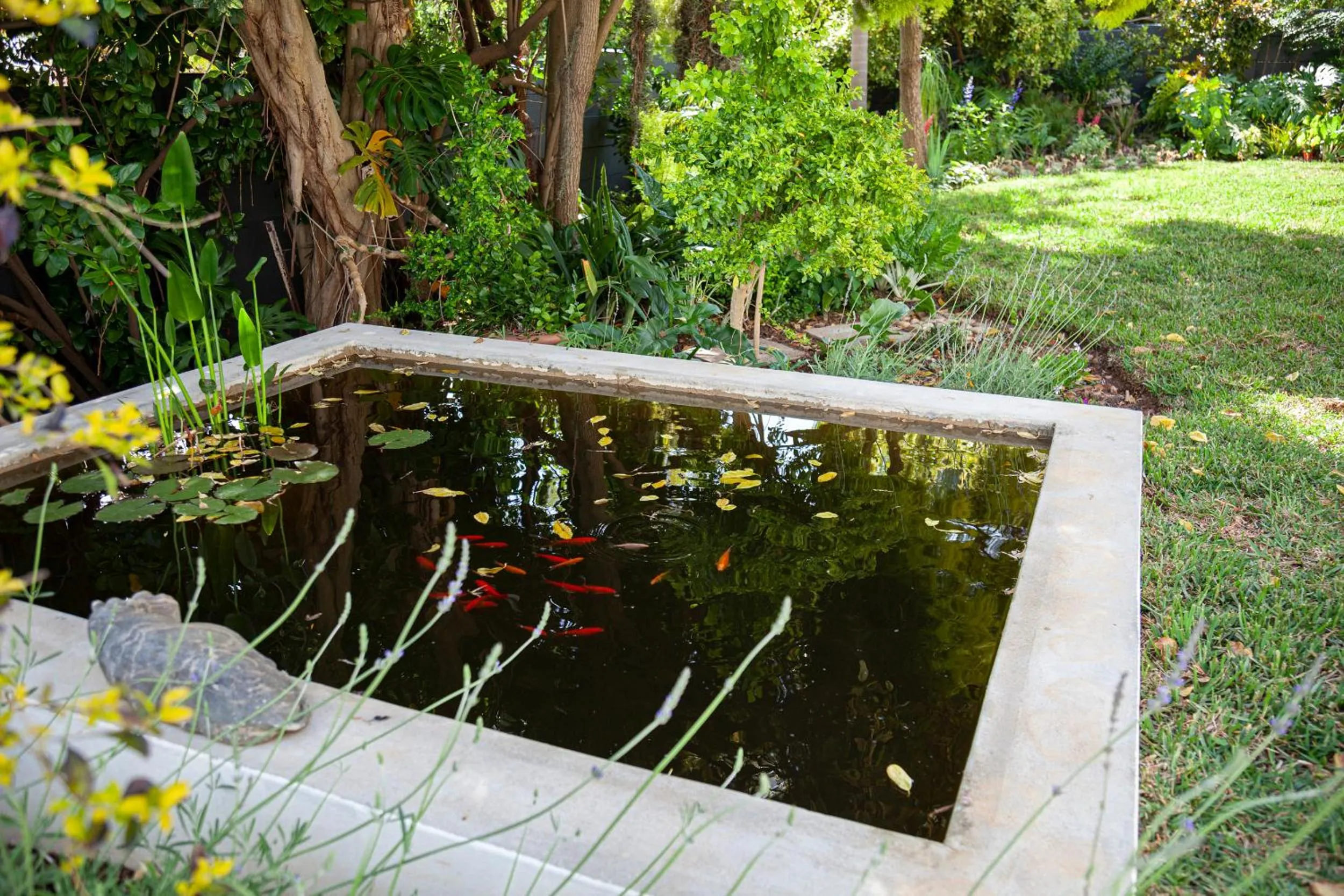 Garden in 5 Rembrandt Guesthouse