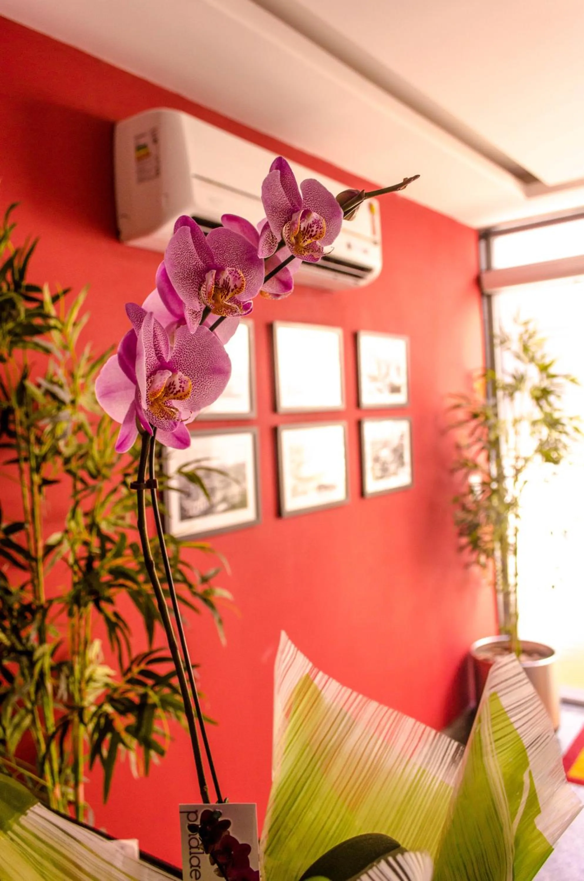 Decorative detail in Hotel Meu Cantinho (Adults Only)