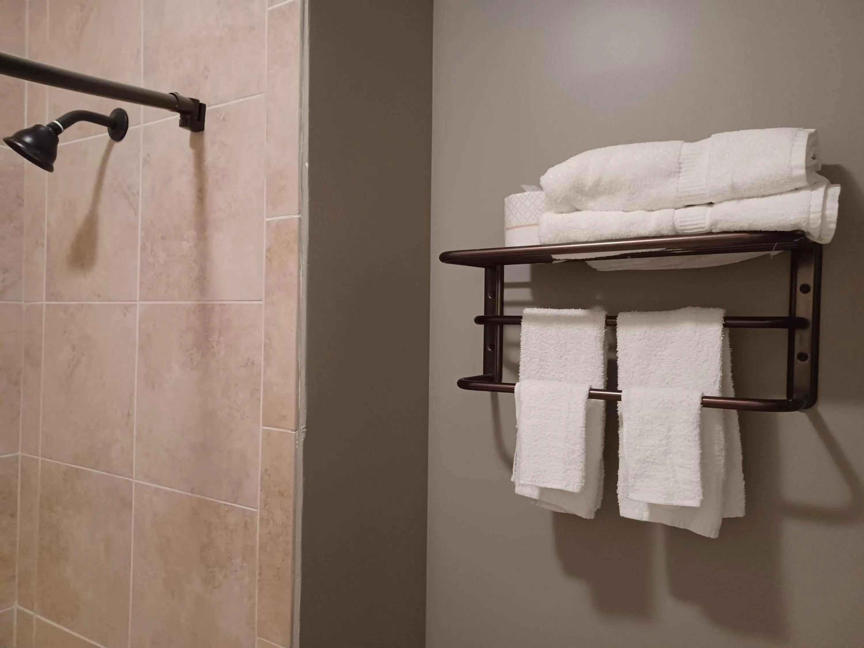 Shower in Natchez Manor Bed & Breakfast