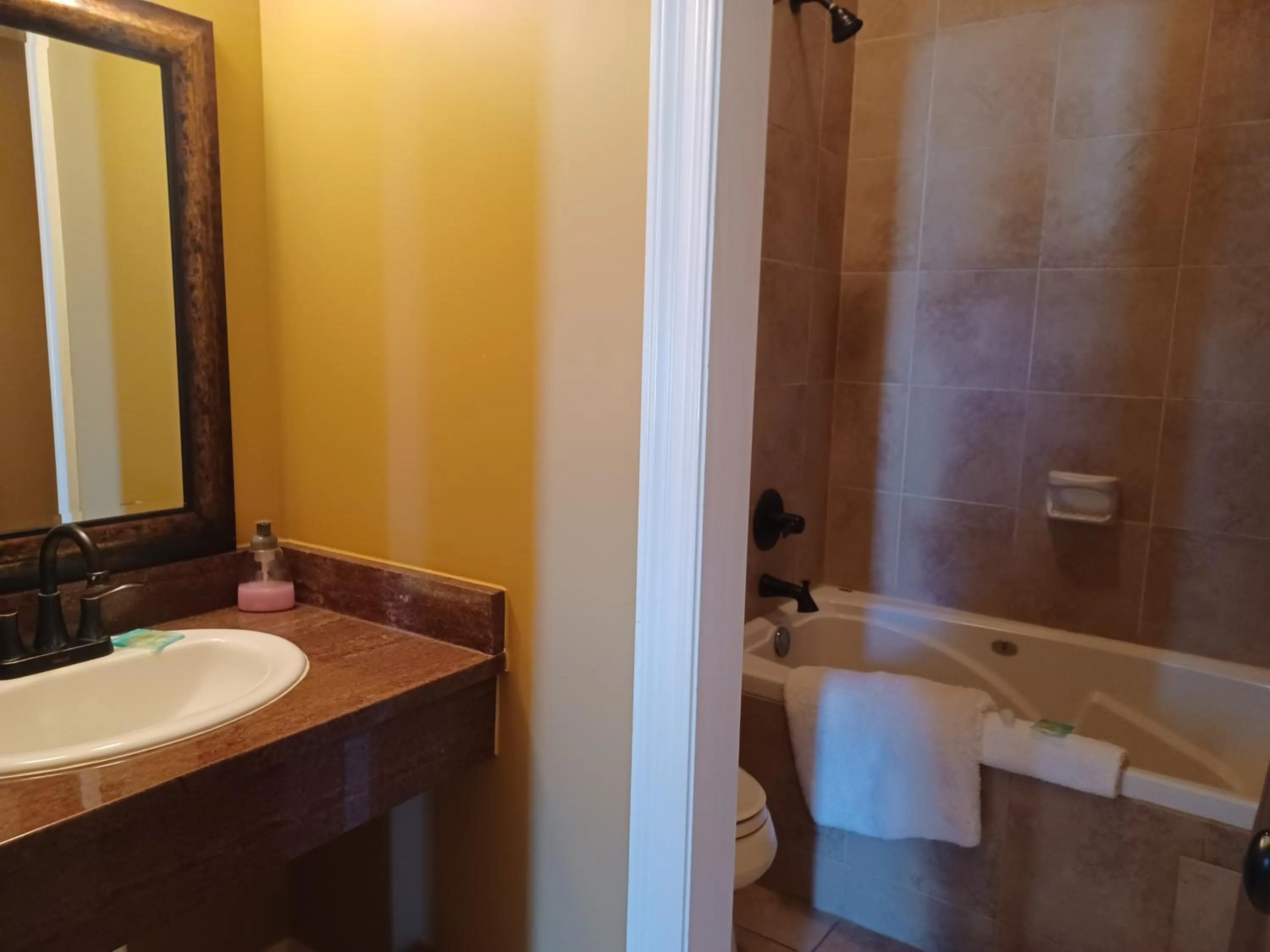 Shower in Natchez Manor Bed & Breakfast