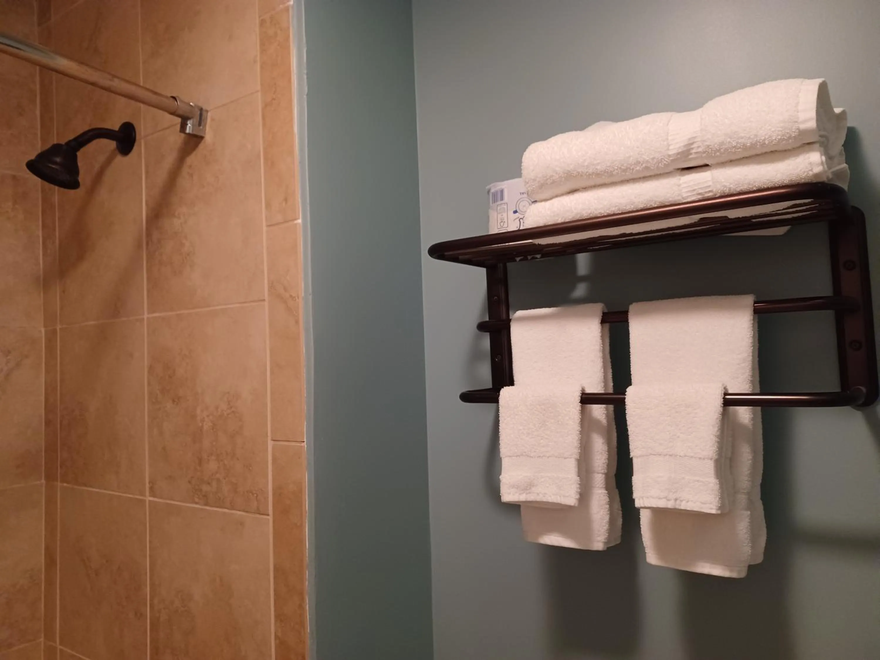 Bathroom in Natchez Manor Bed & Breakfast