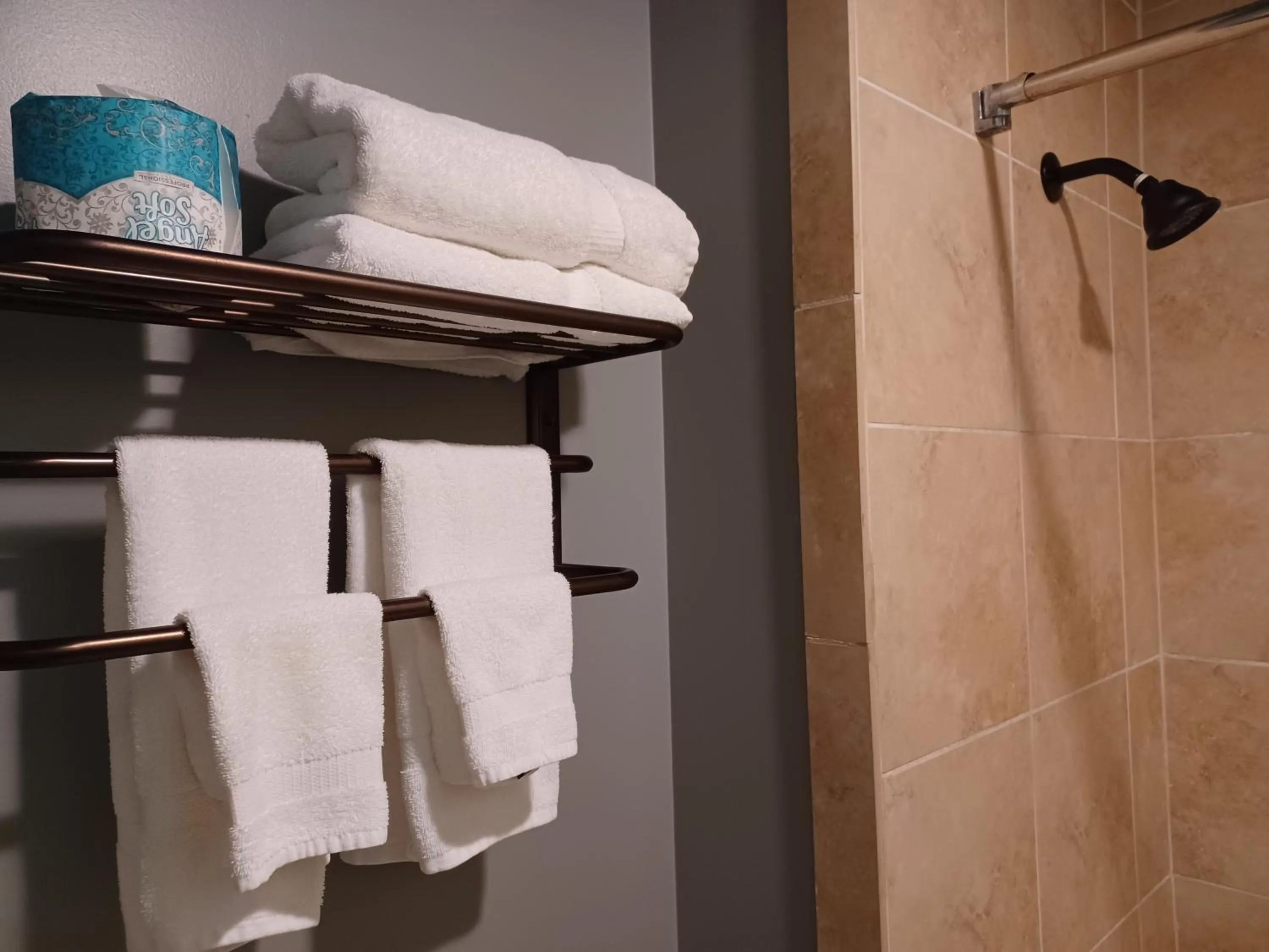 Shower in Natchez Manor Bed & Breakfast