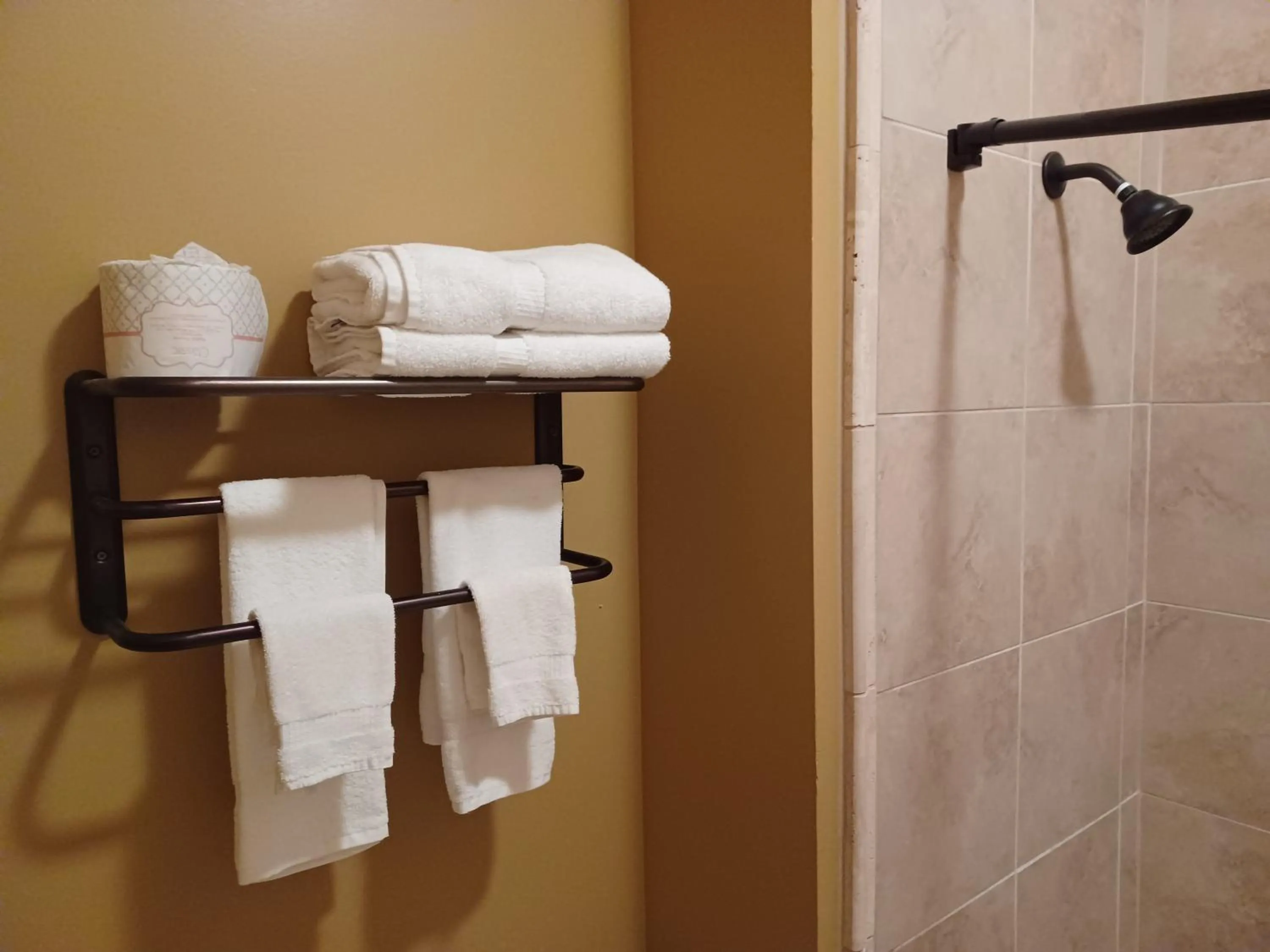 Shower in Natchez Manor Bed & Breakfast