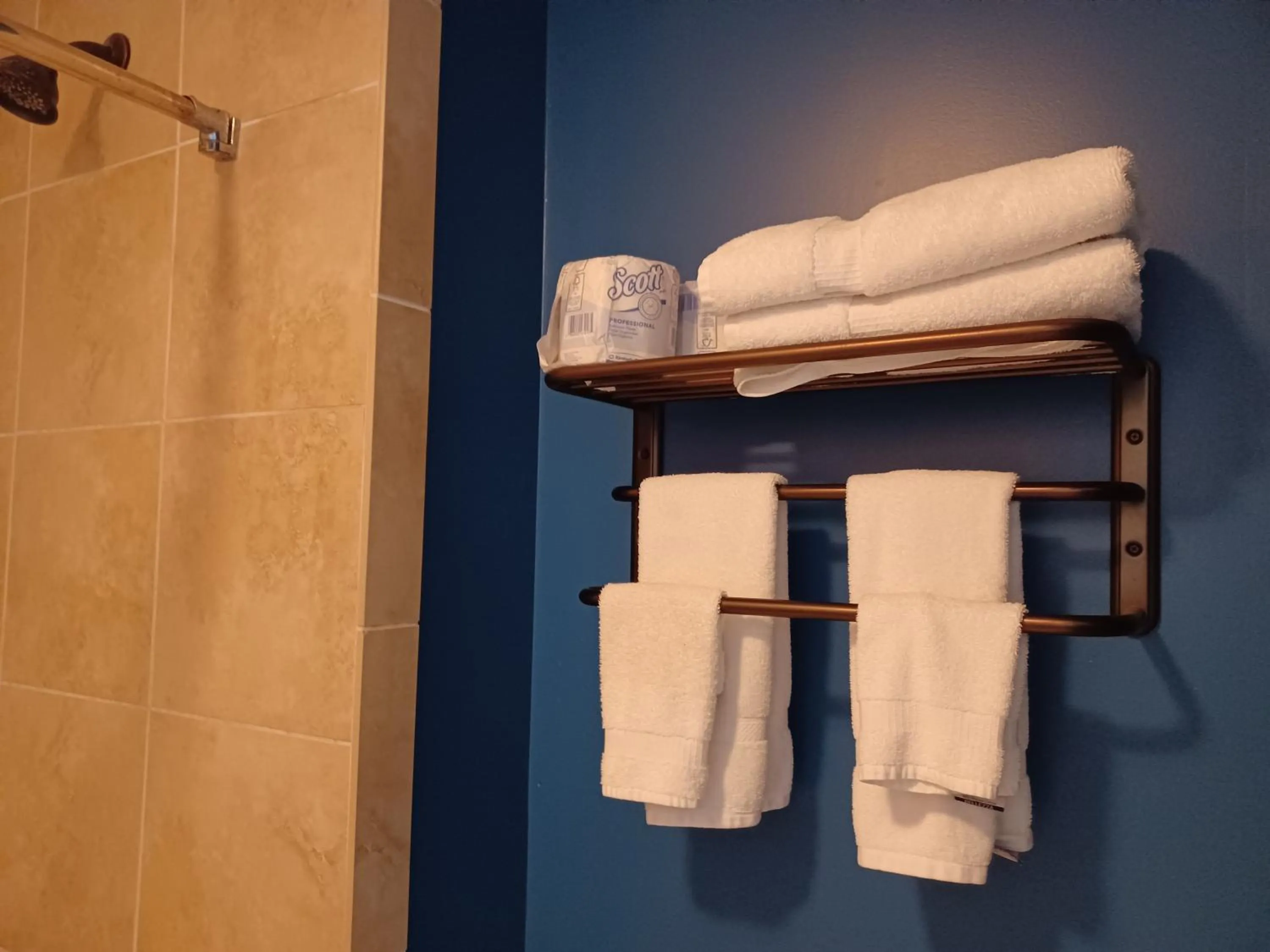 Shower in Natchez Manor Bed & Breakfast