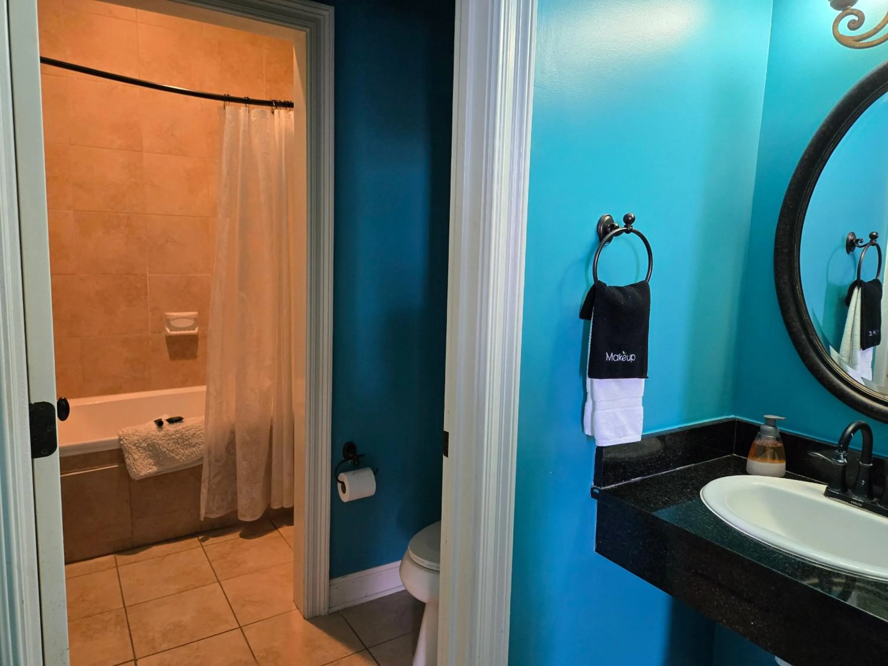 Shower in Natchez Manor Bed & Breakfast