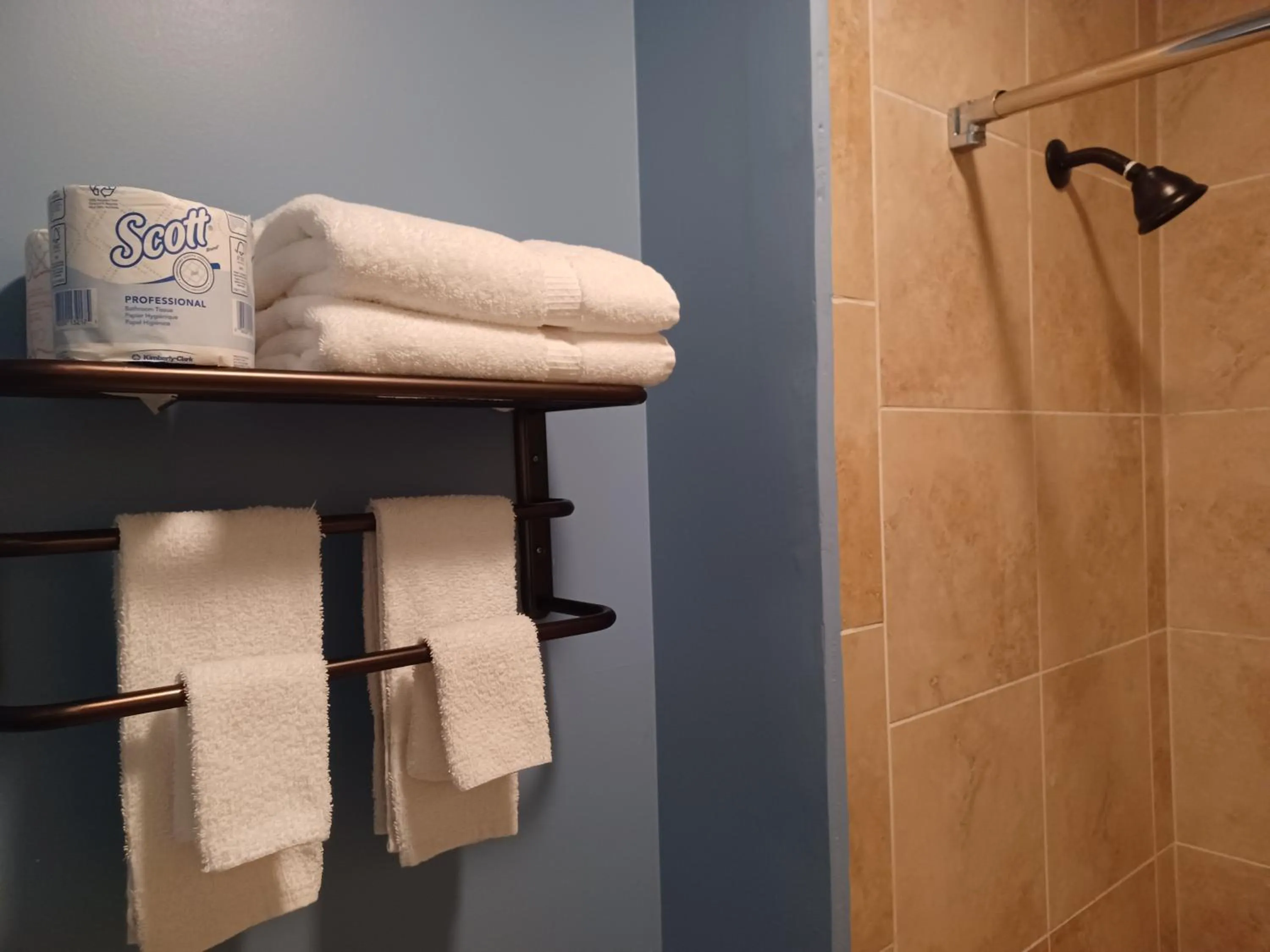 Shower in Natchez Manor Bed & Breakfast