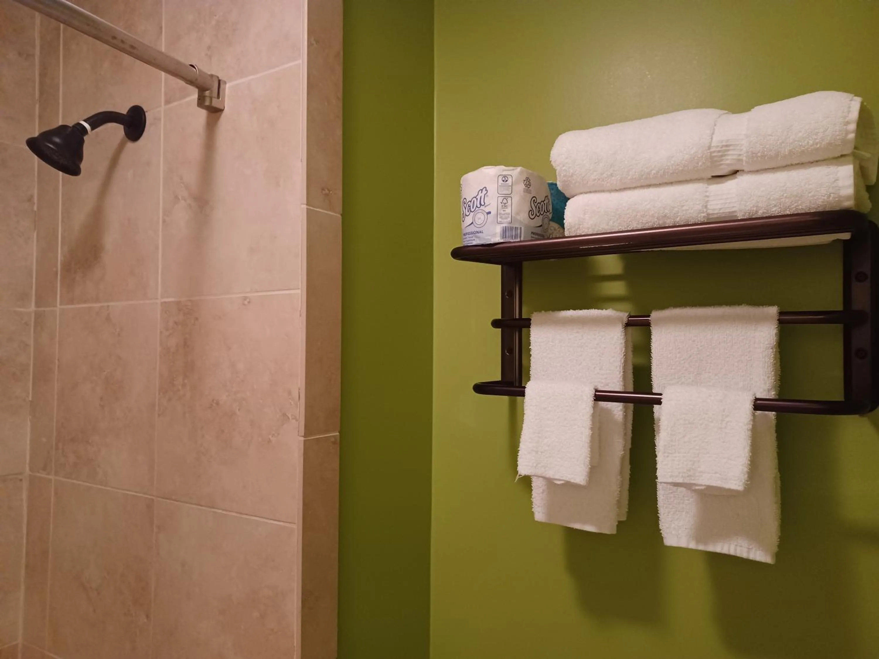 Shower in Natchez Manor Bed & Breakfast