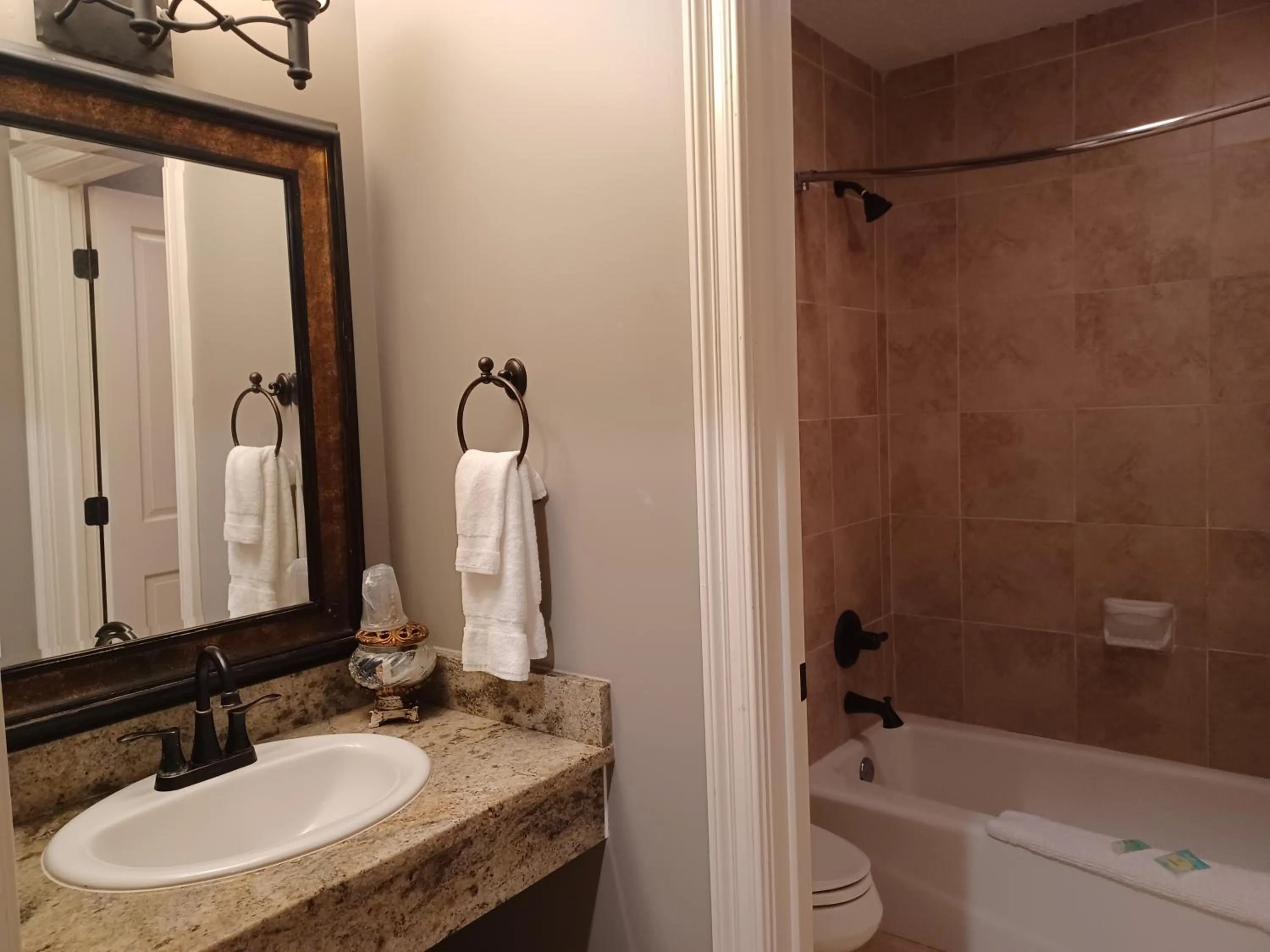 Shower in Natchez Manor Bed & Breakfast