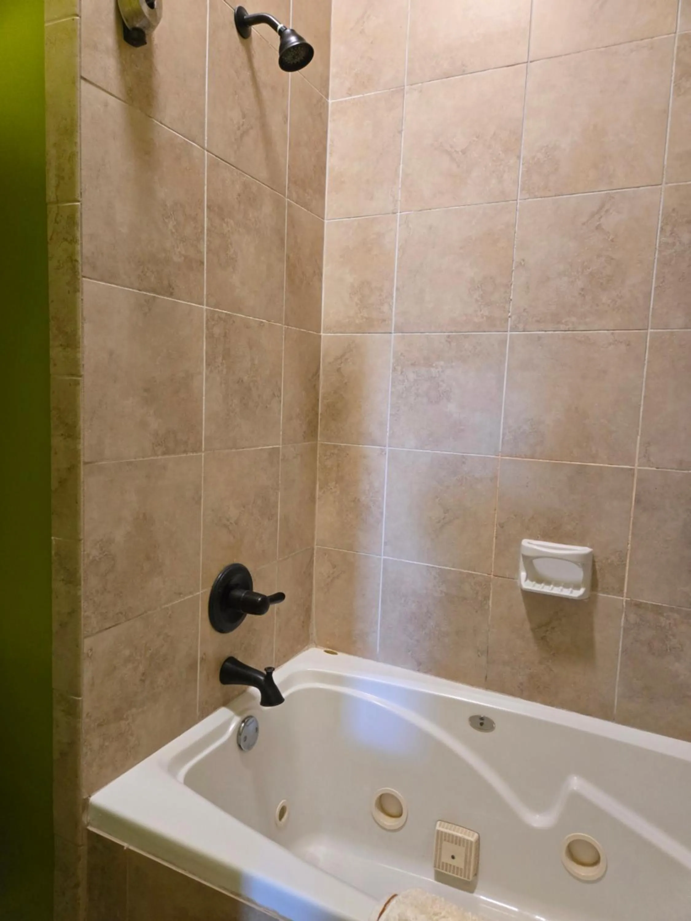 Shower in Natchez Manor Bed & Breakfast