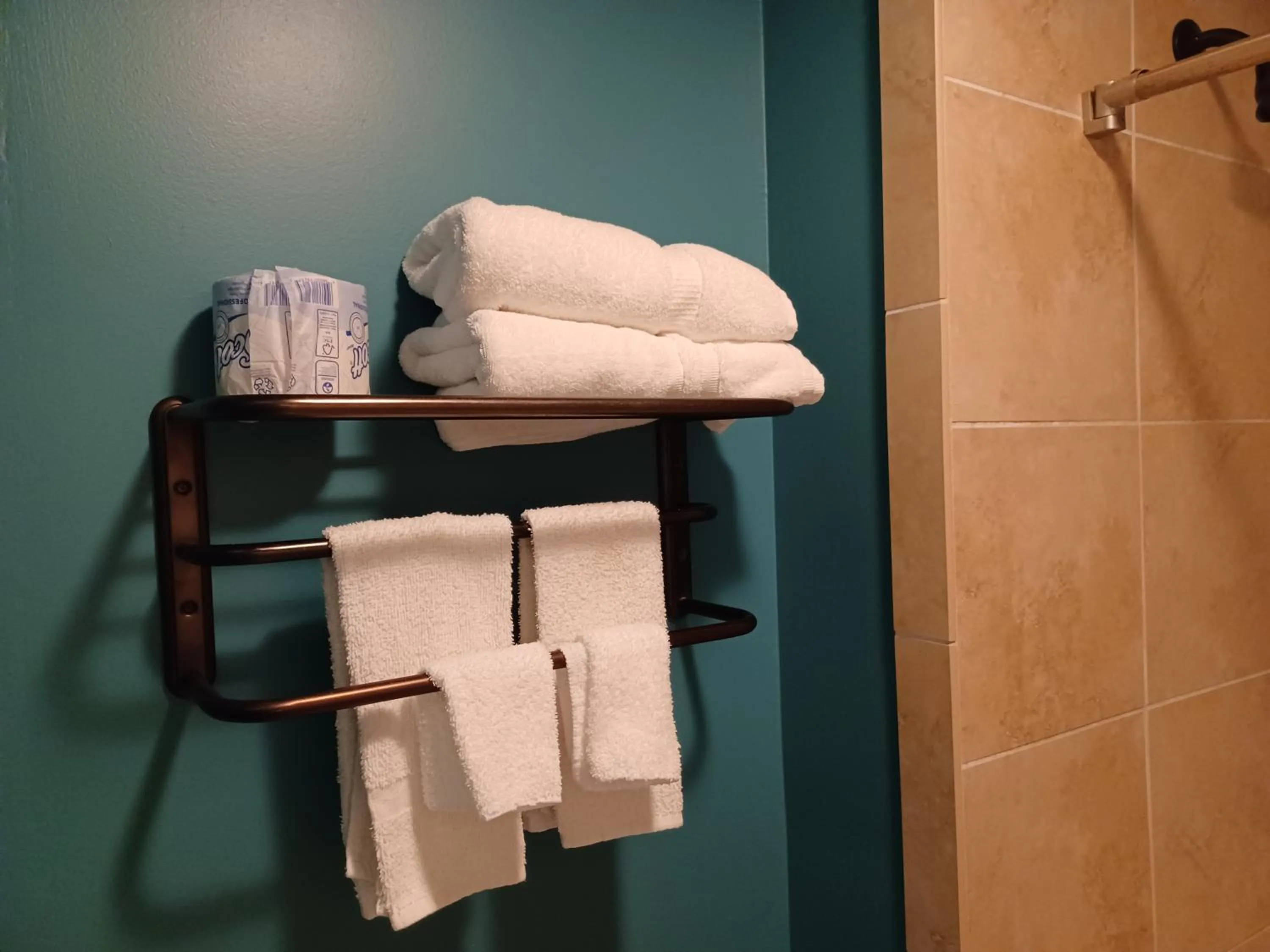 Bathroom in Natchez Manor Bed & Breakfast