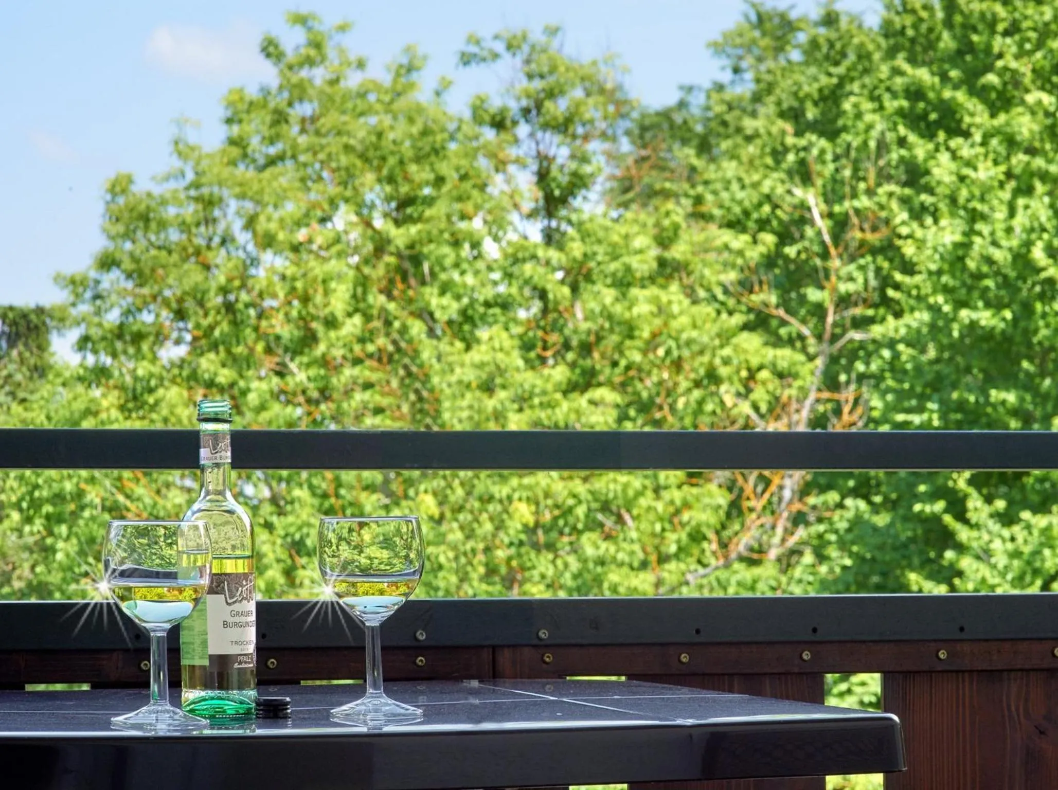Balcony/Terrace in Hotel Münster