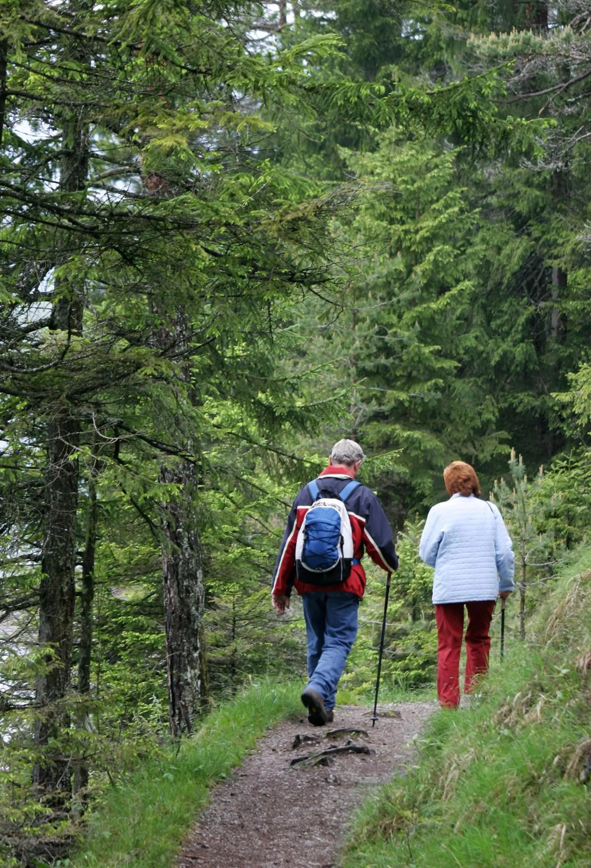 Hiking in Hotel Münster