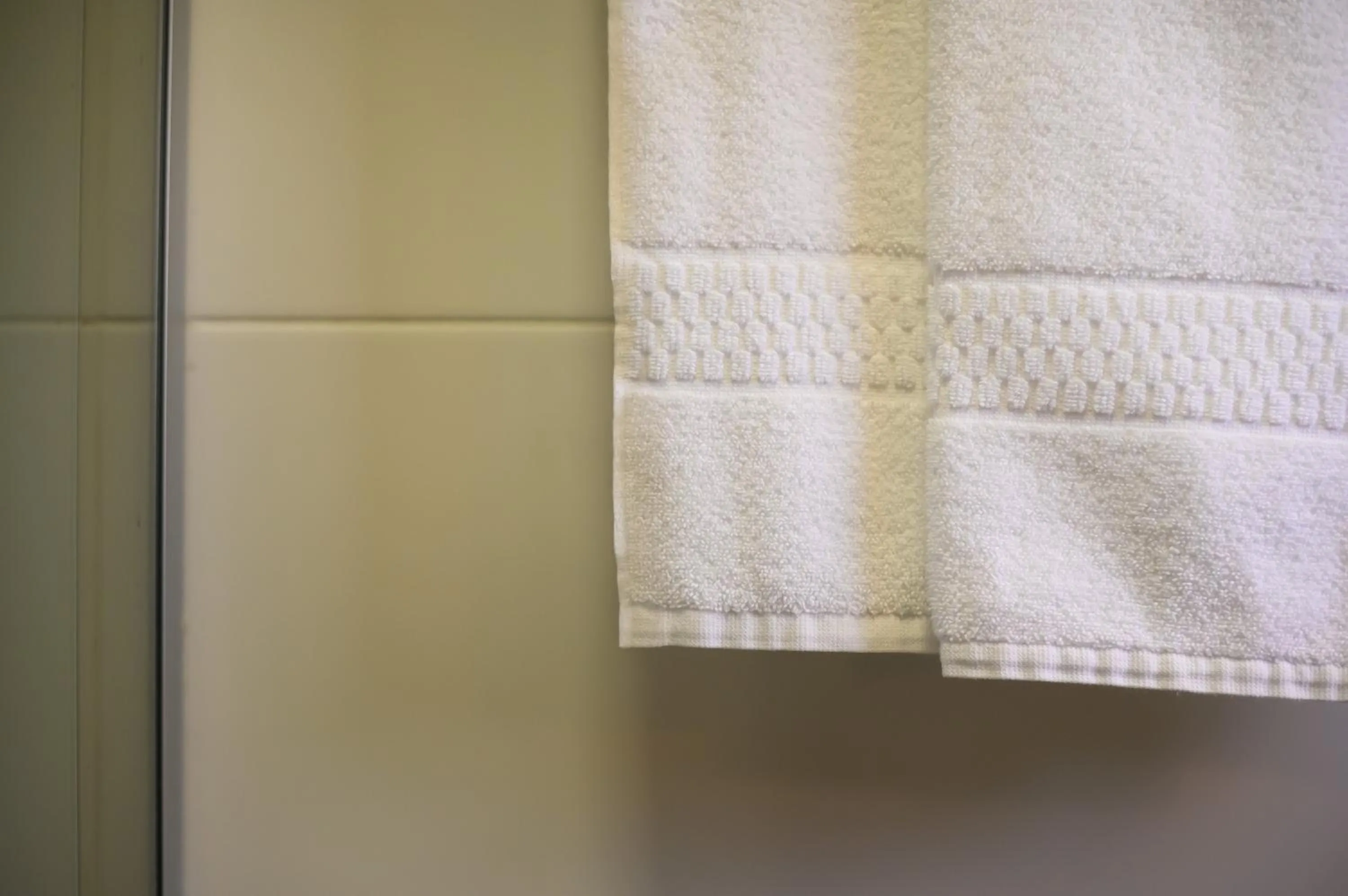 towels in Hotel Santa Cruz