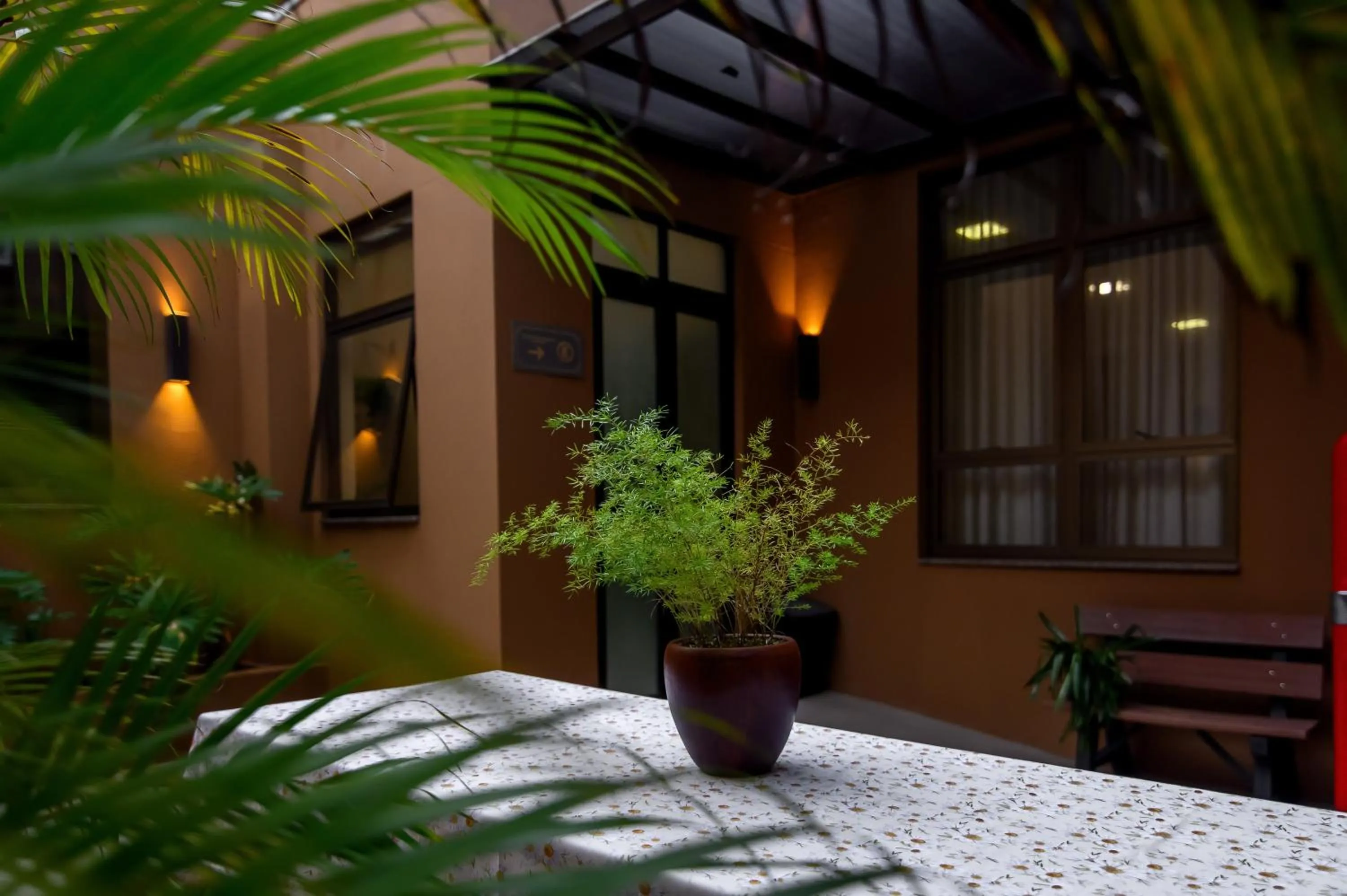 Garden in Hotel Santa Cruz