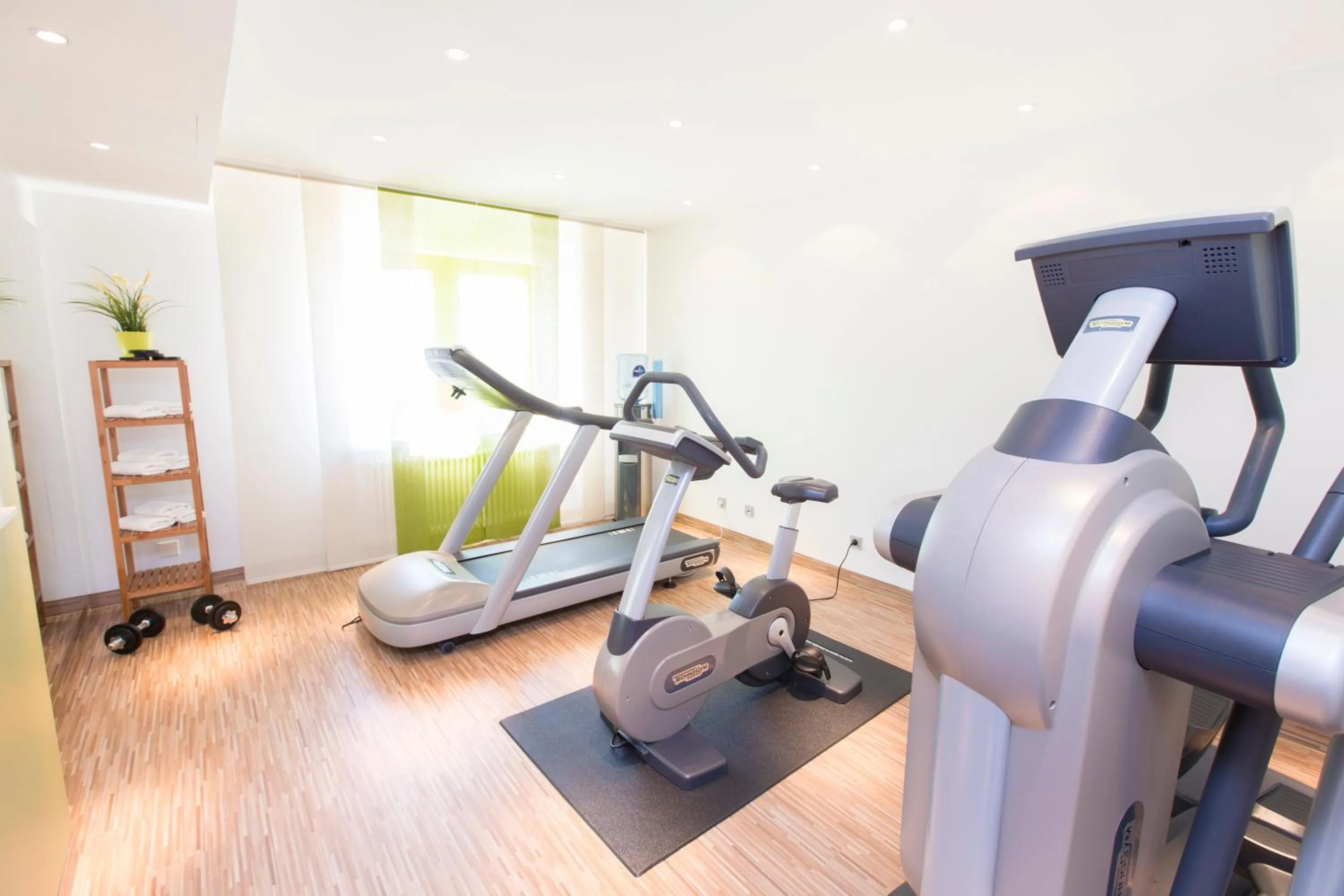 Fitness centre/facilities in Hotel Scheffelhöhe