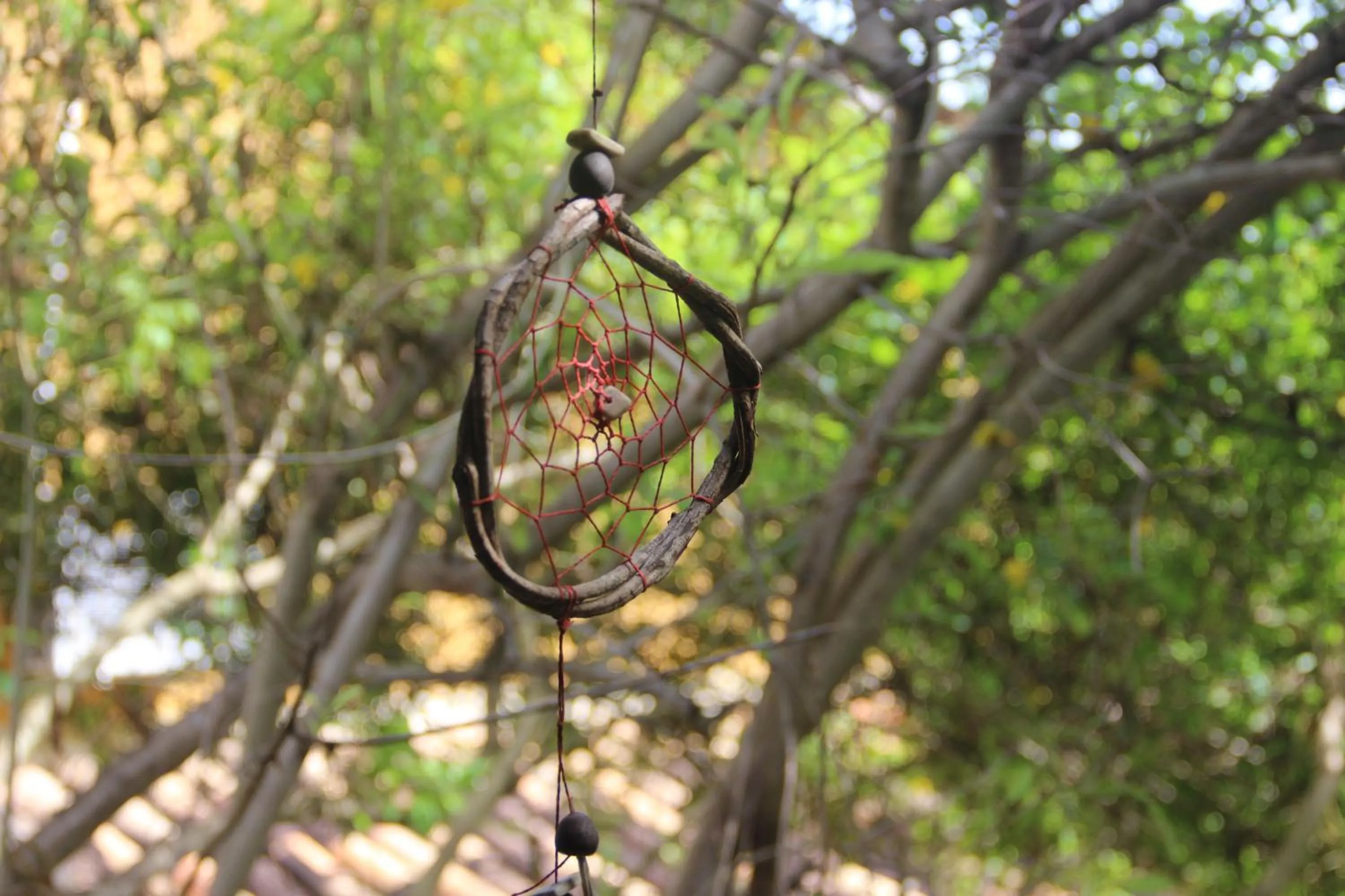 Spring in Pousada Raiz Forte