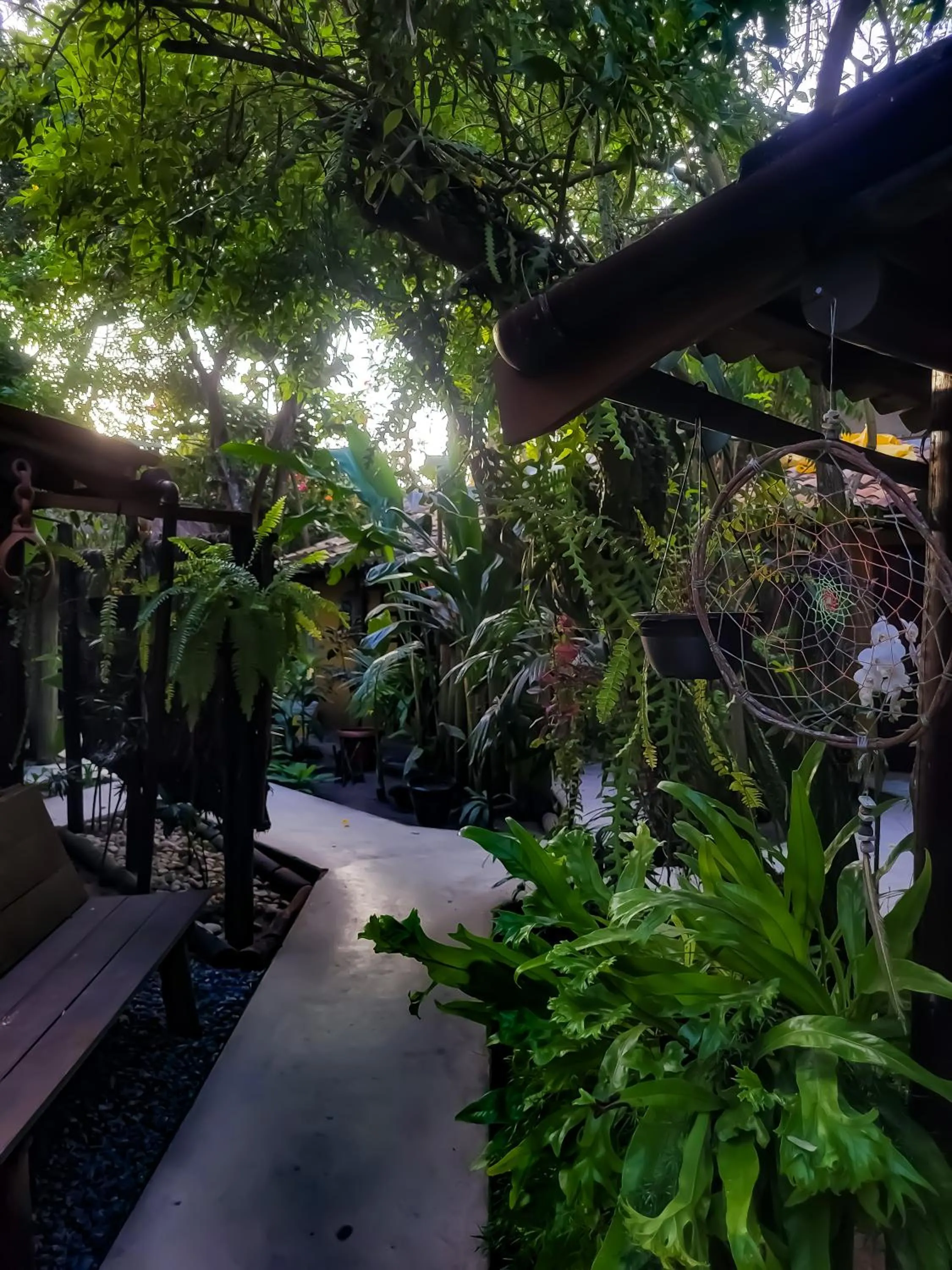 Spring in Pousada Raiz Forte