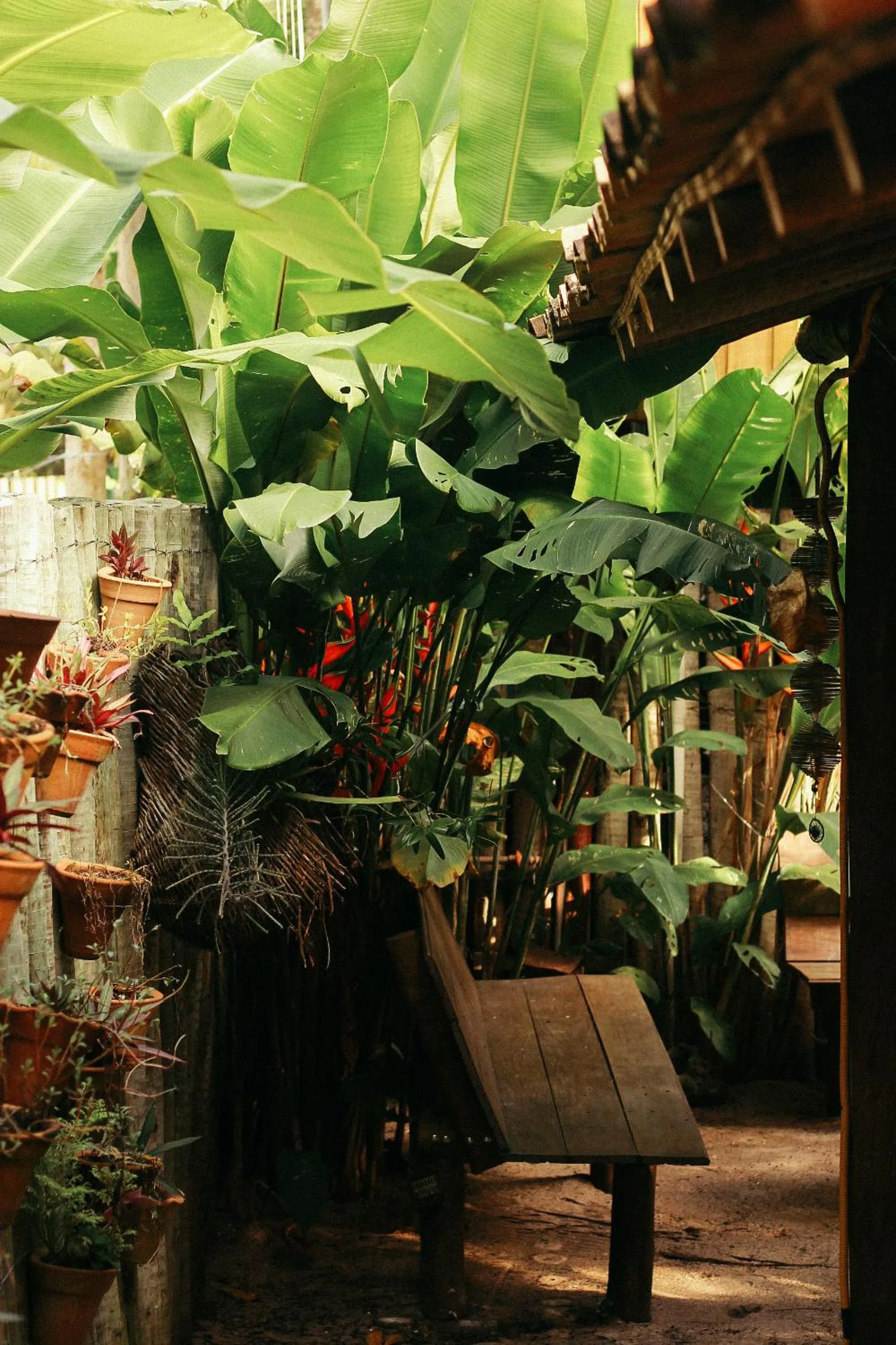 Day in Pousada Raiz Forte