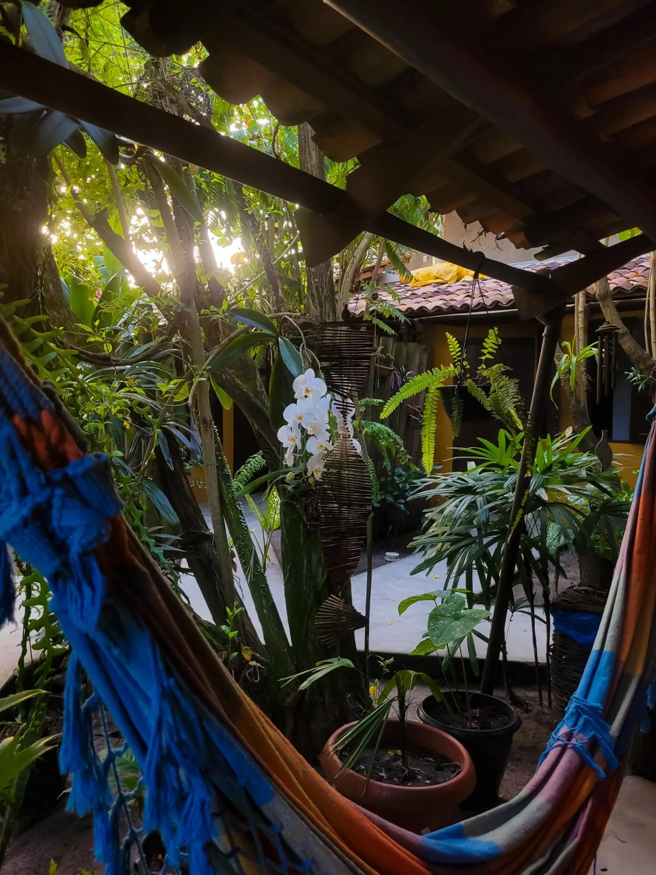 Spring in Pousada Raiz Forte