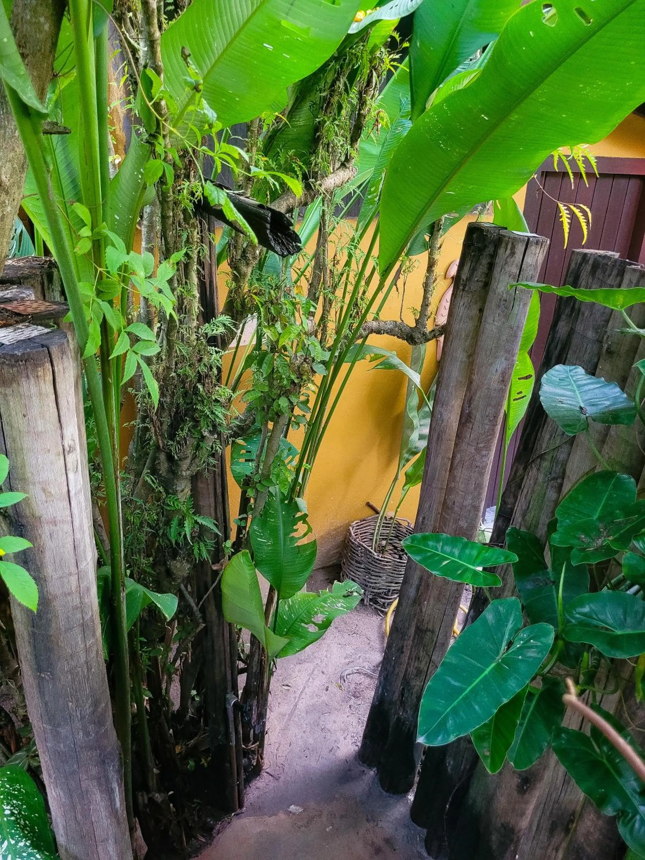 Spring in Pousada Raiz Forte