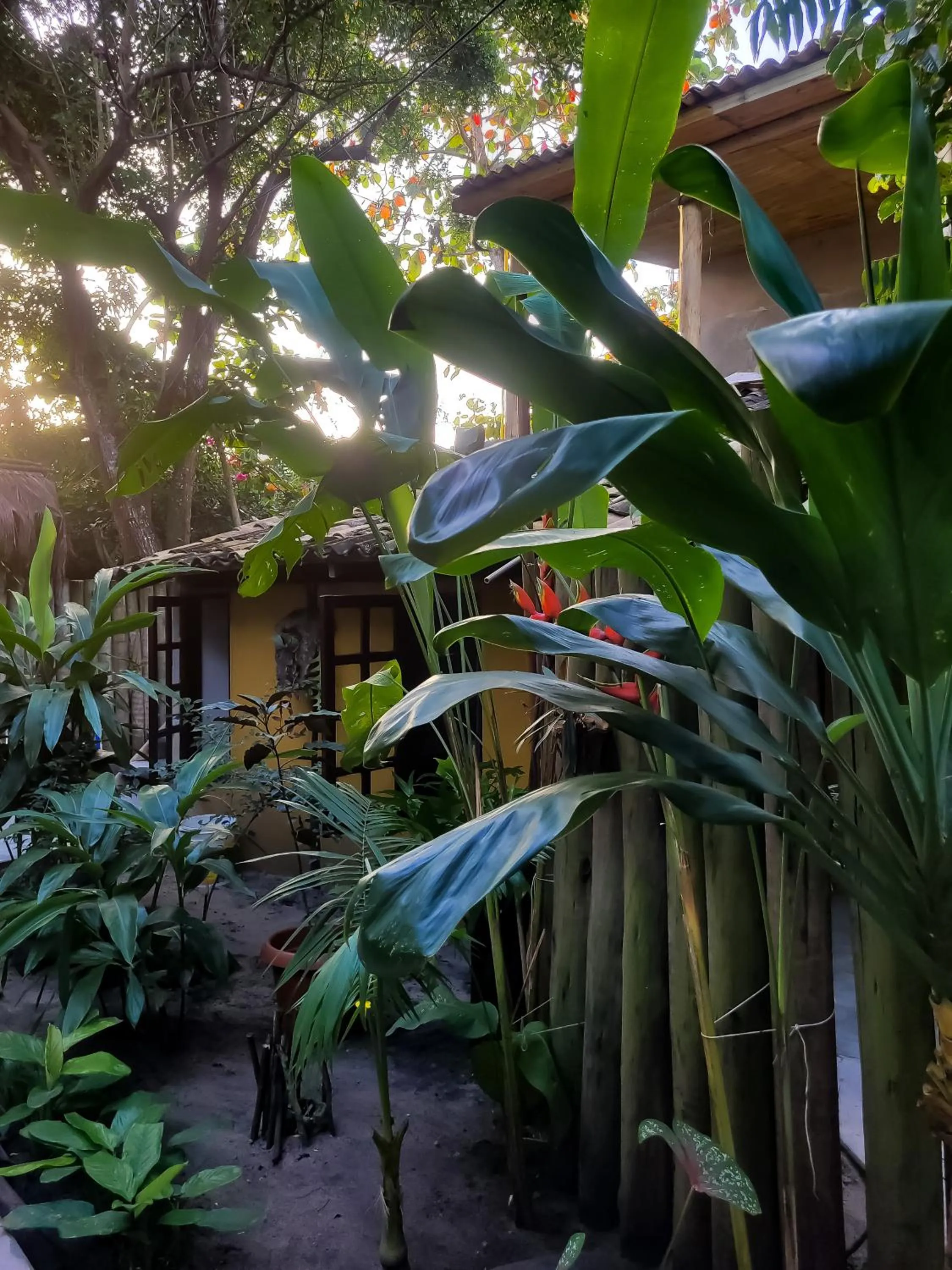 Spring in Pousada Raiz Forte