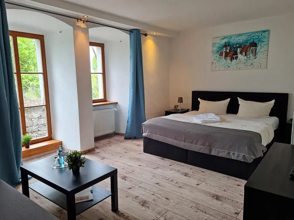 Double Room - single occupancy in Schloss Hotel Wurzen Double Room - single occupancy in Schloss Hotel Wurzen