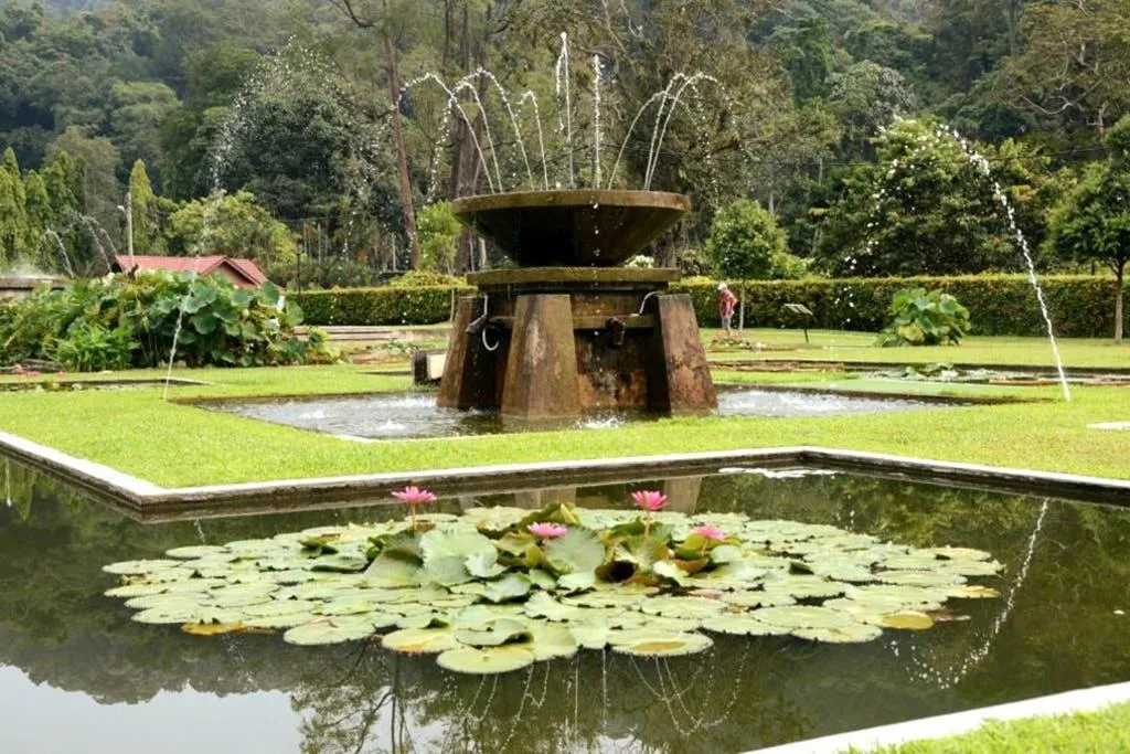 Nearby landmark in EEs Whale House - Homestay 3 min walk to beach