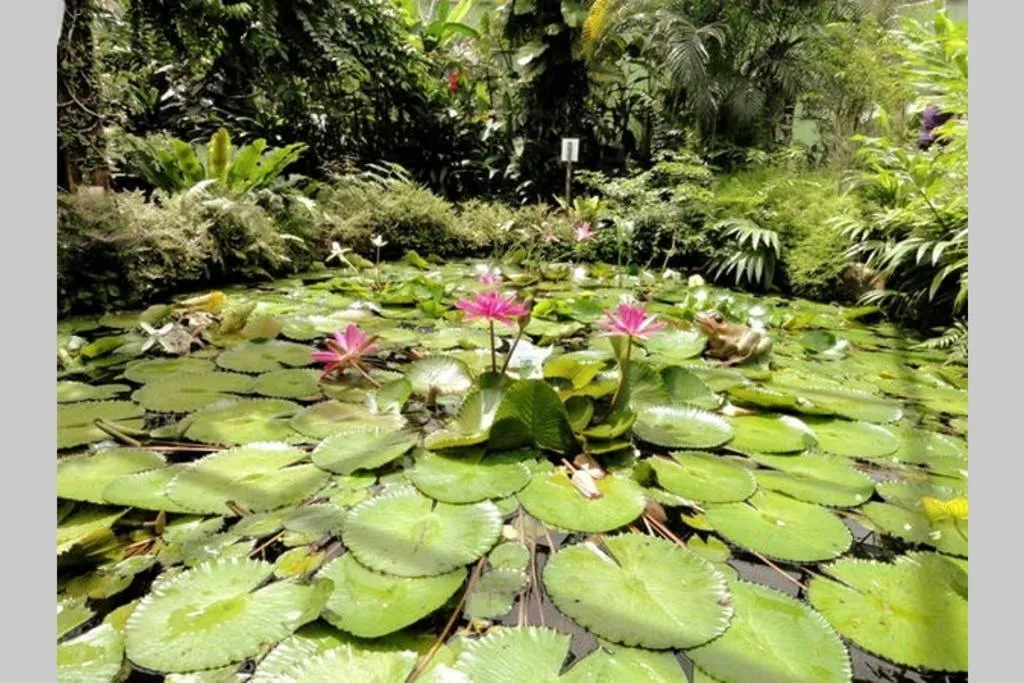 Nearby landmark in EEs Whale House - Homestay 3 min walk to beach