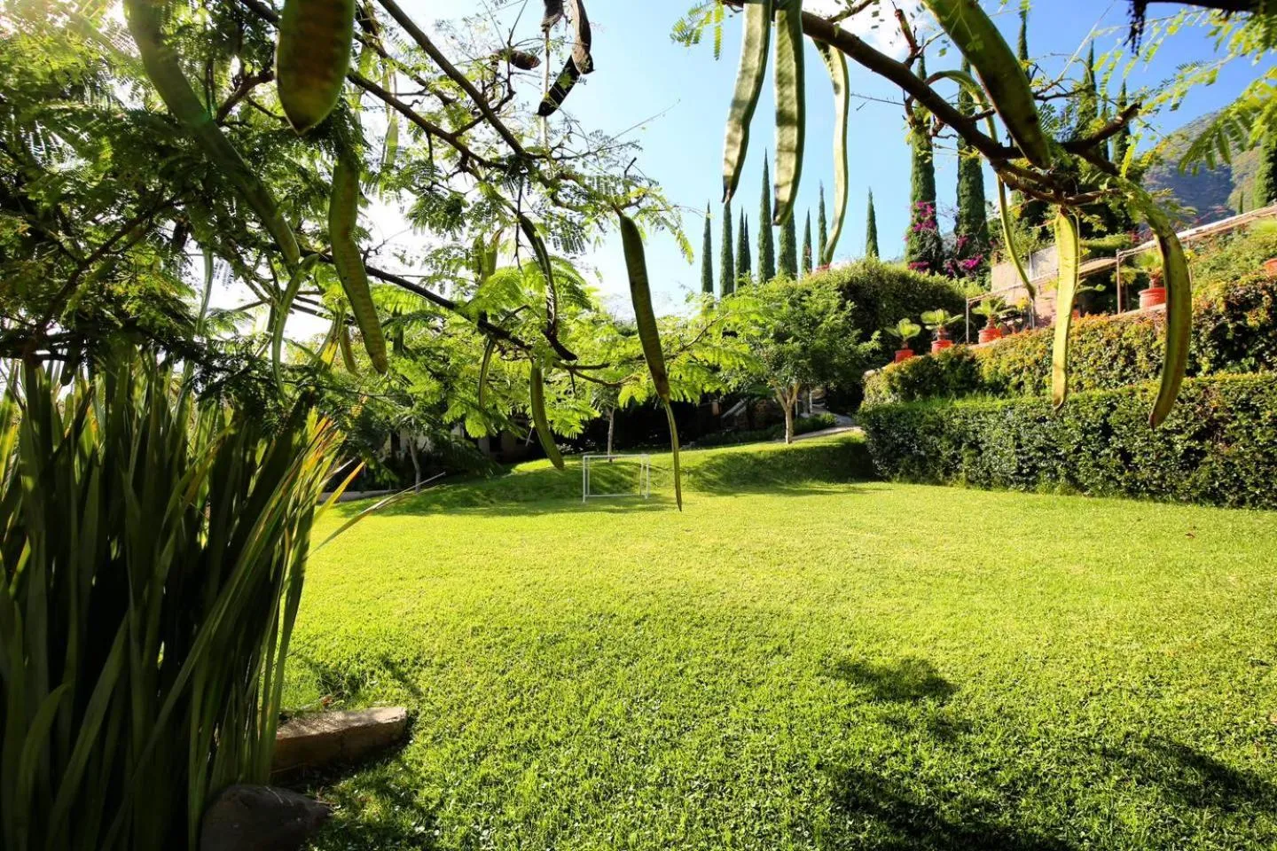 Garden in Mama Chuy Hotel & Villas Ajijic