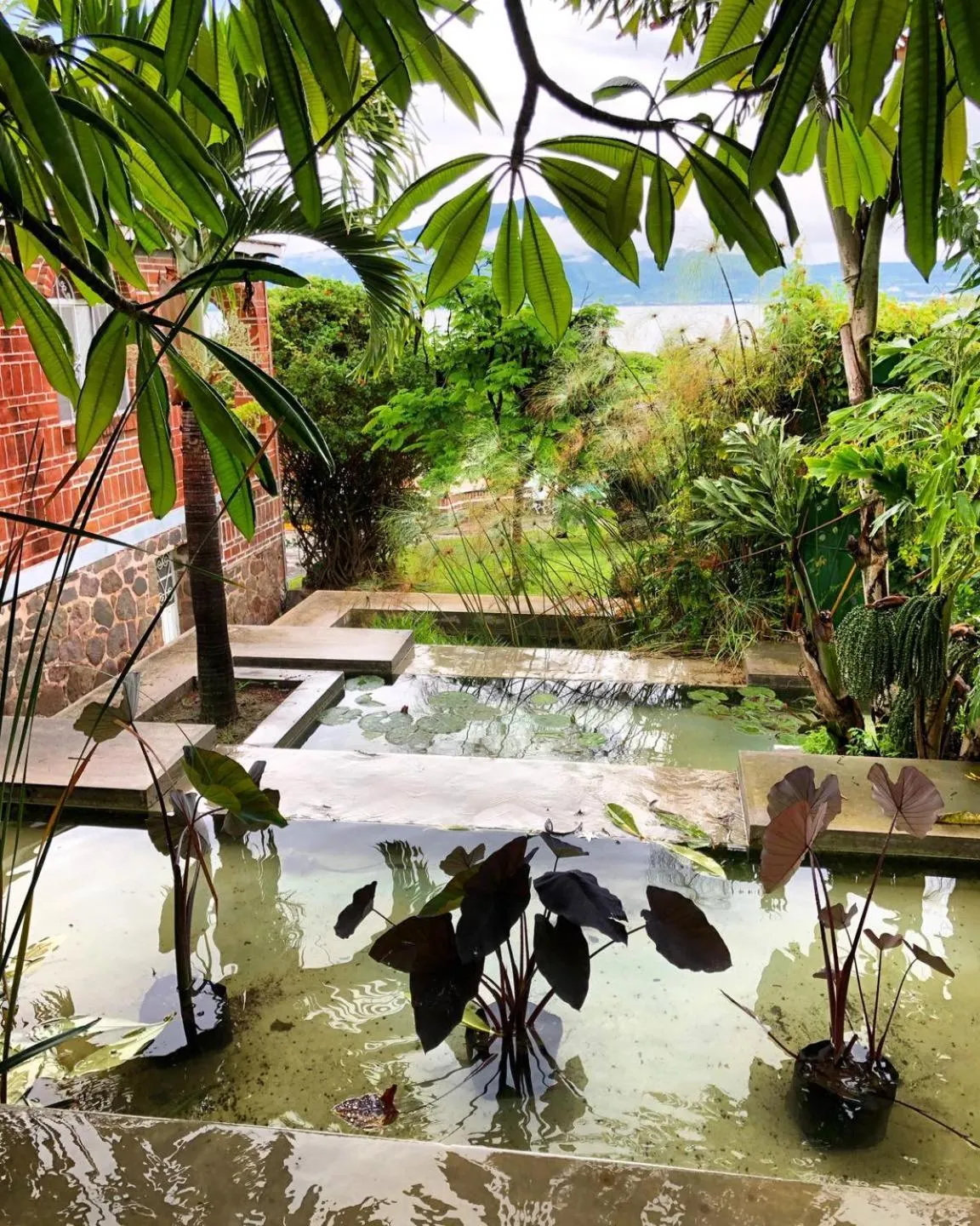 Natural landscape in Mama Chuy Hotel & Villas Ajijic