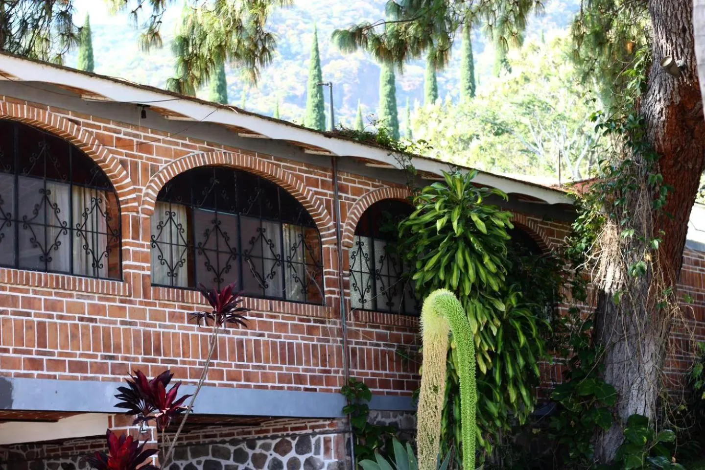 Property building in Mama Chuy Hotel & Villas Ajijic