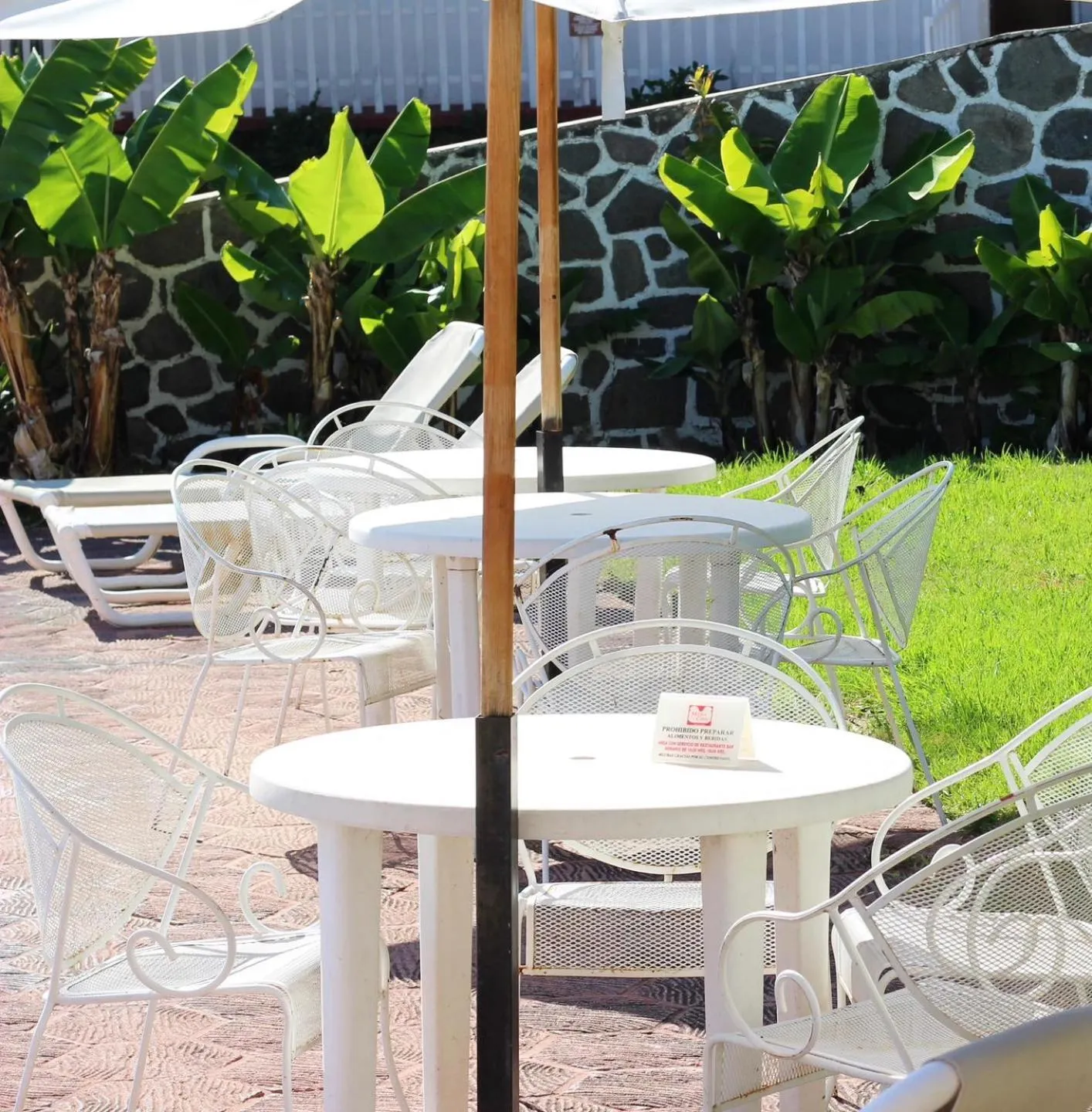 Garden view in Mama Chuy Hotel & Villas Ajijic