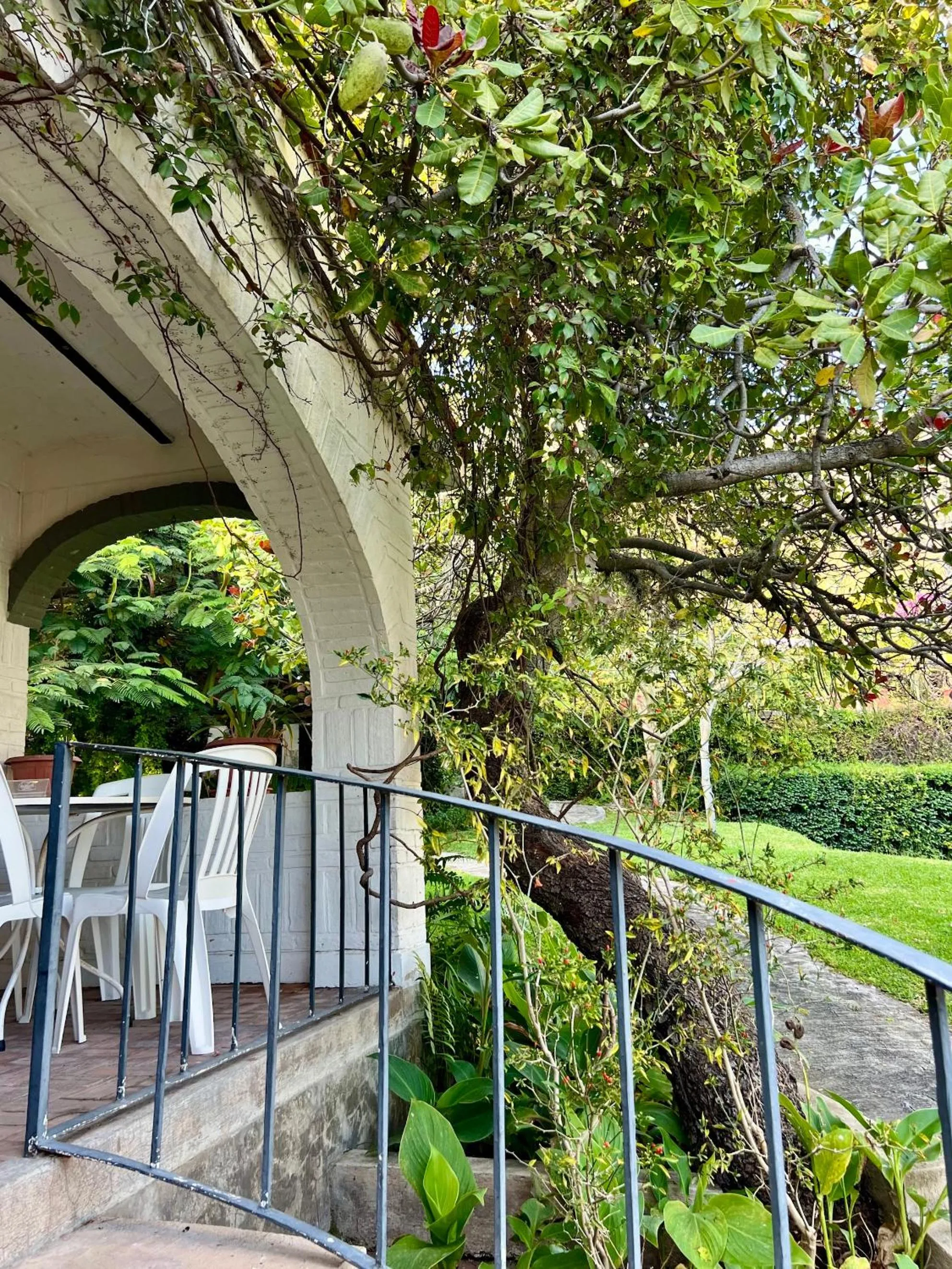 Garden view in Mama Chuy Hotel & Villas Ajijic
