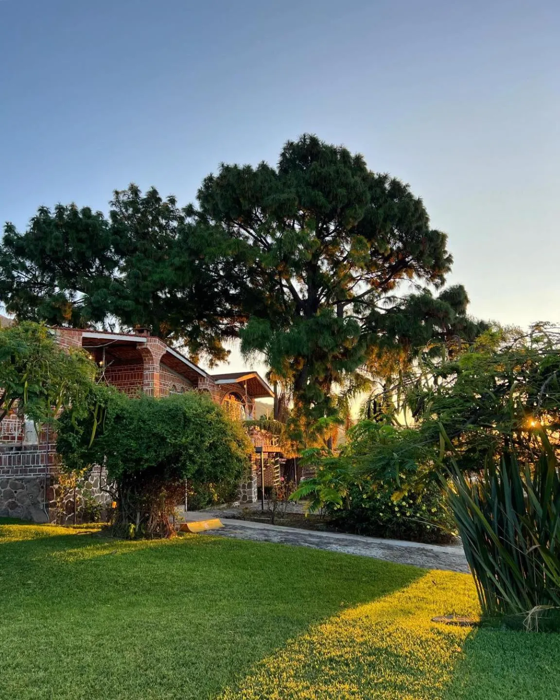 Garden in Mama Chuy Hotel & Villas Ajijic