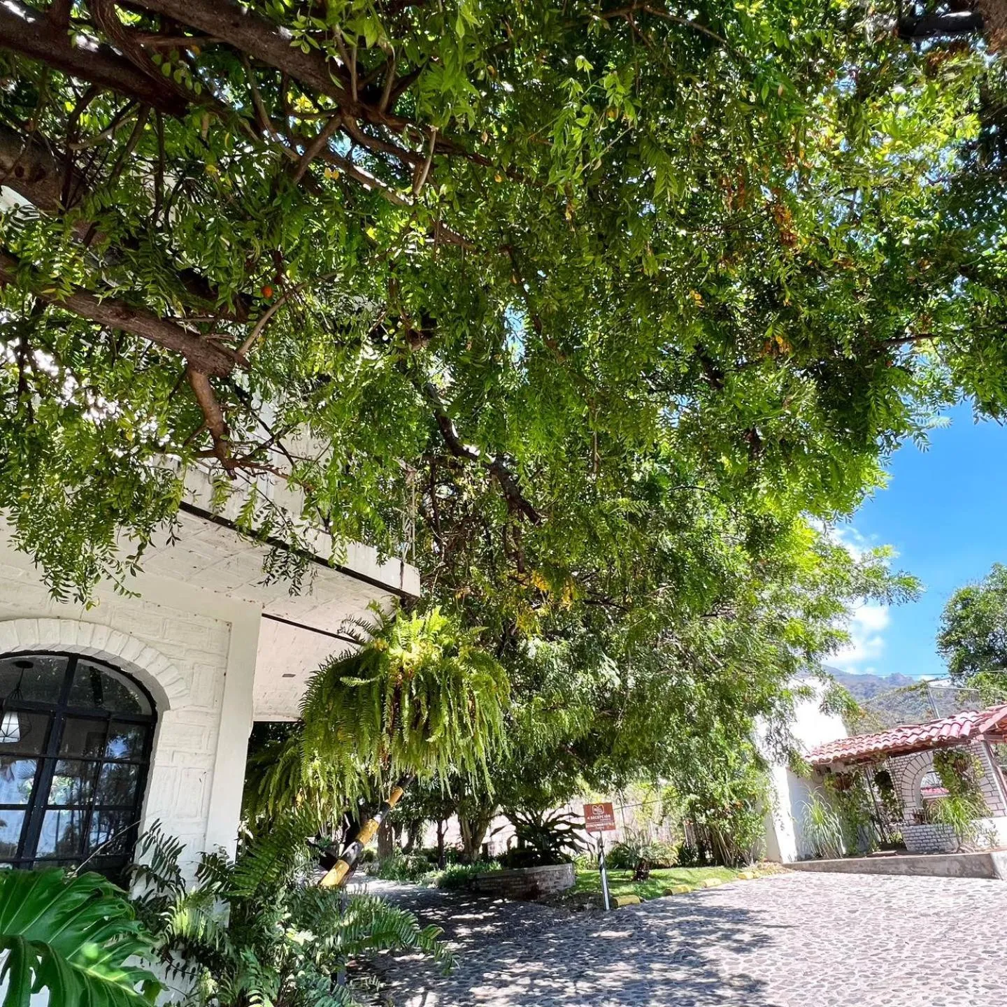 Property building in Mama Chuy Hotel & Villas Ajijic