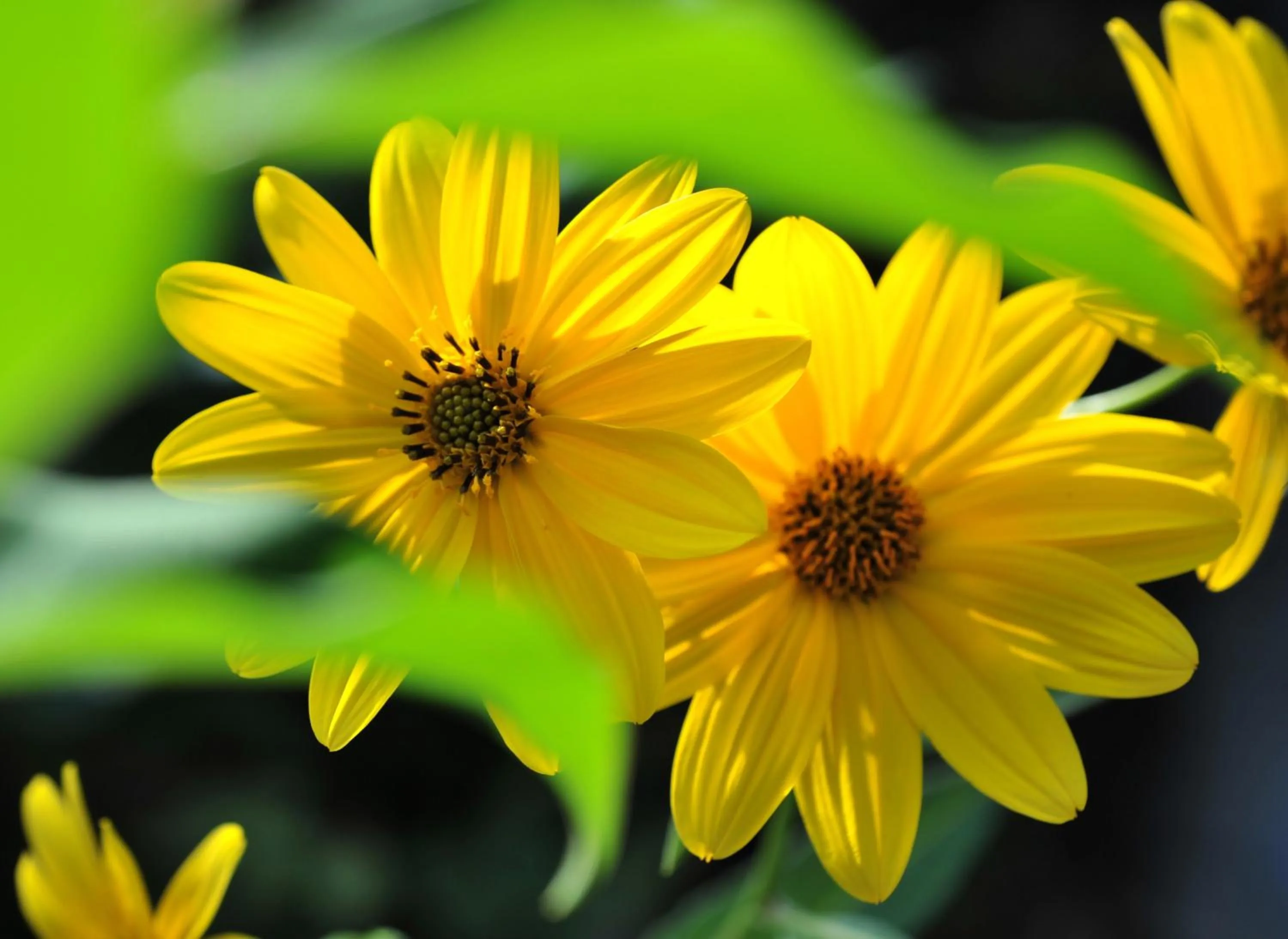 Κonitsa Gefyri hotel