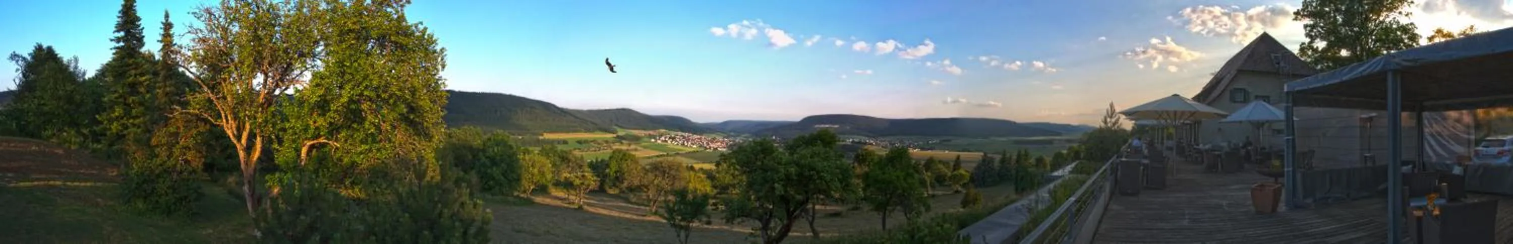 Natural landscape in Hotel Hofgut Hohenkarpfen