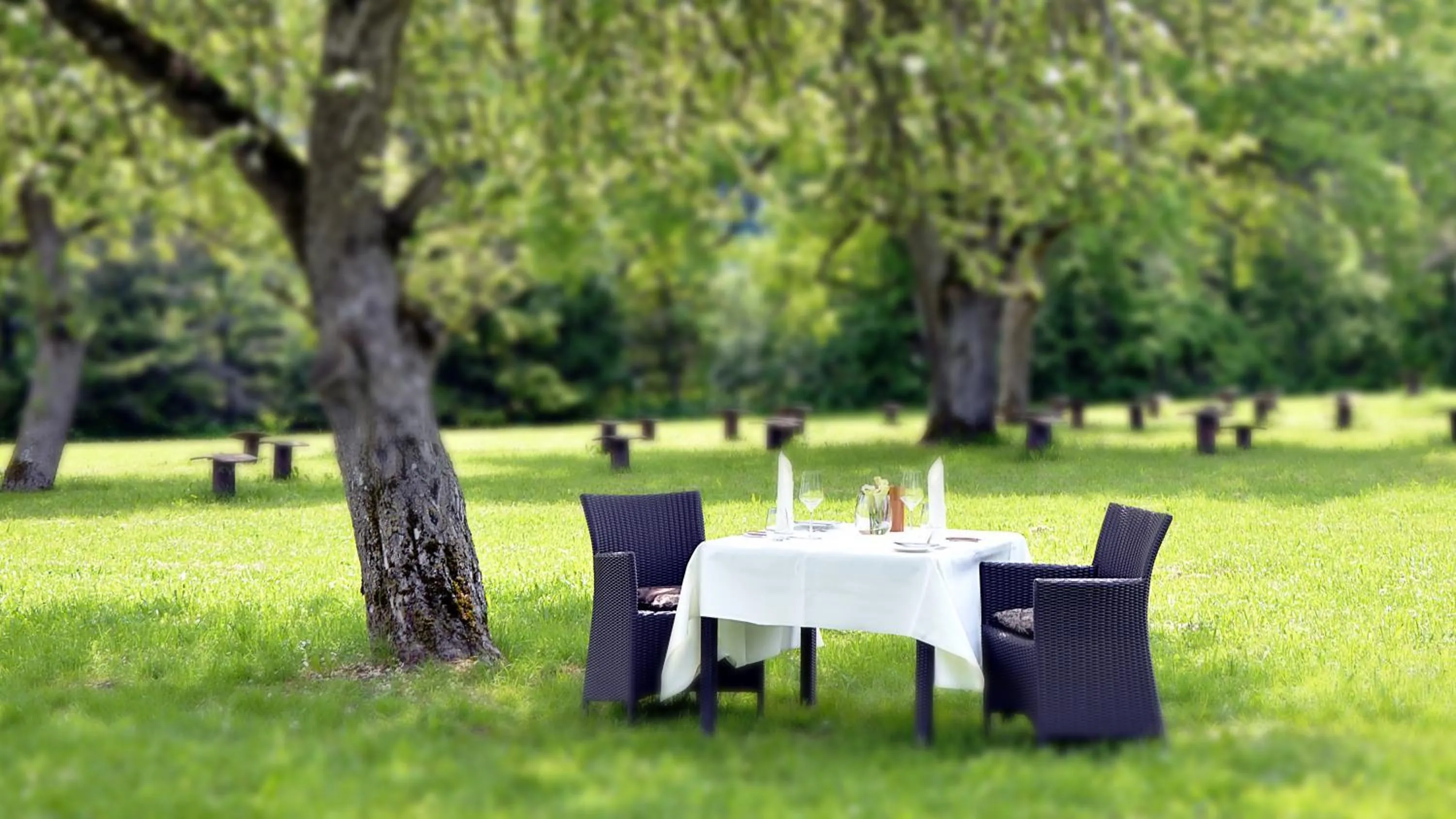 Restaurant/places to eat in Hotel Hofgut Hohenkarpfen