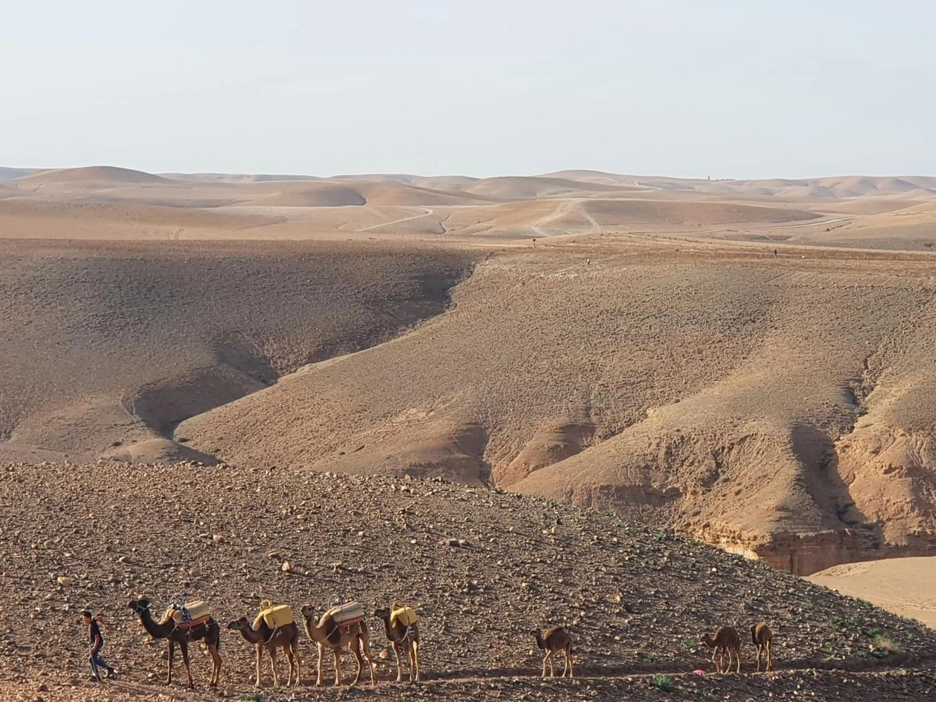Natural landscape in Nkhila Lodge