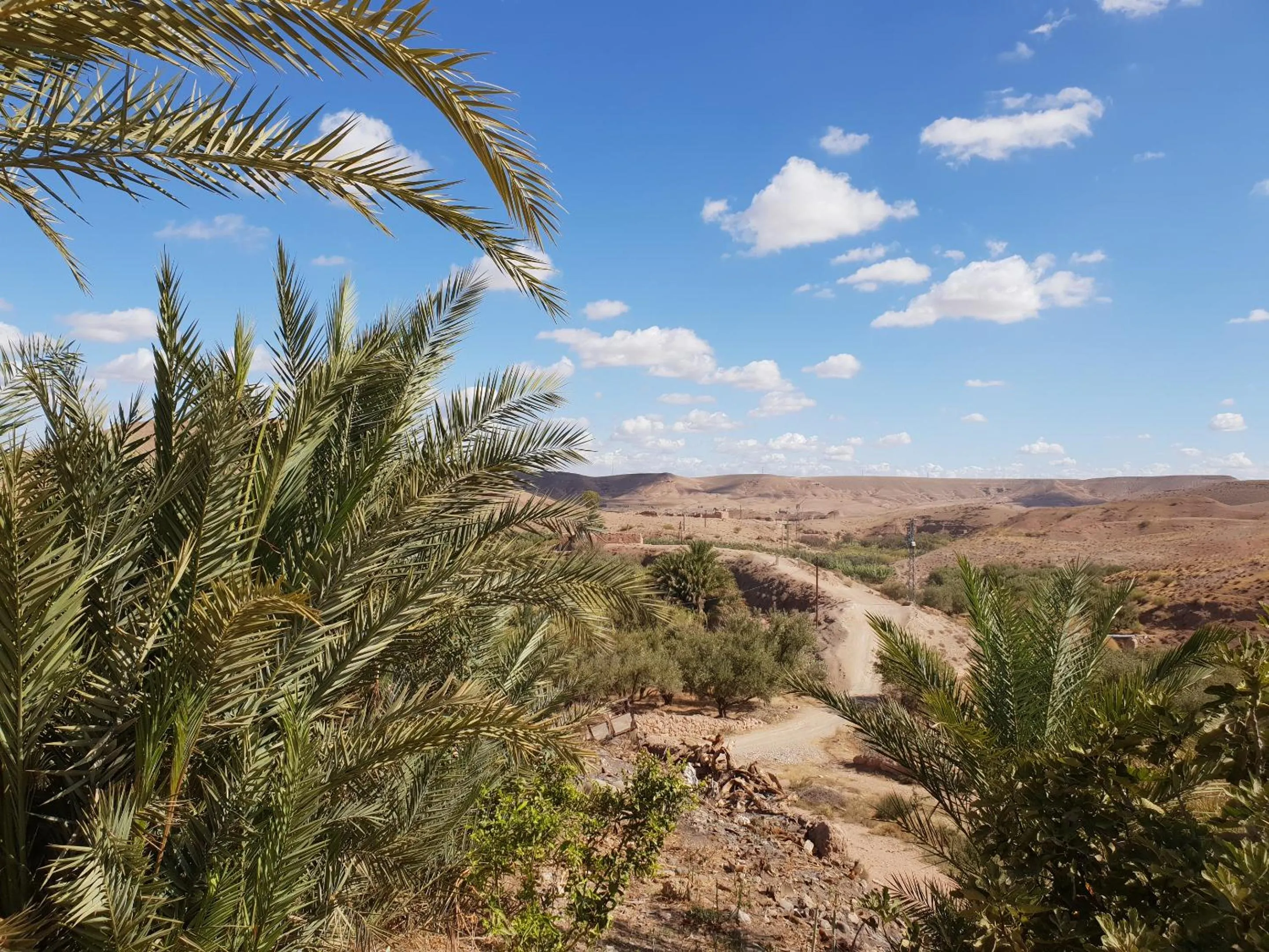 Natural landscape in Nkhila Lodge