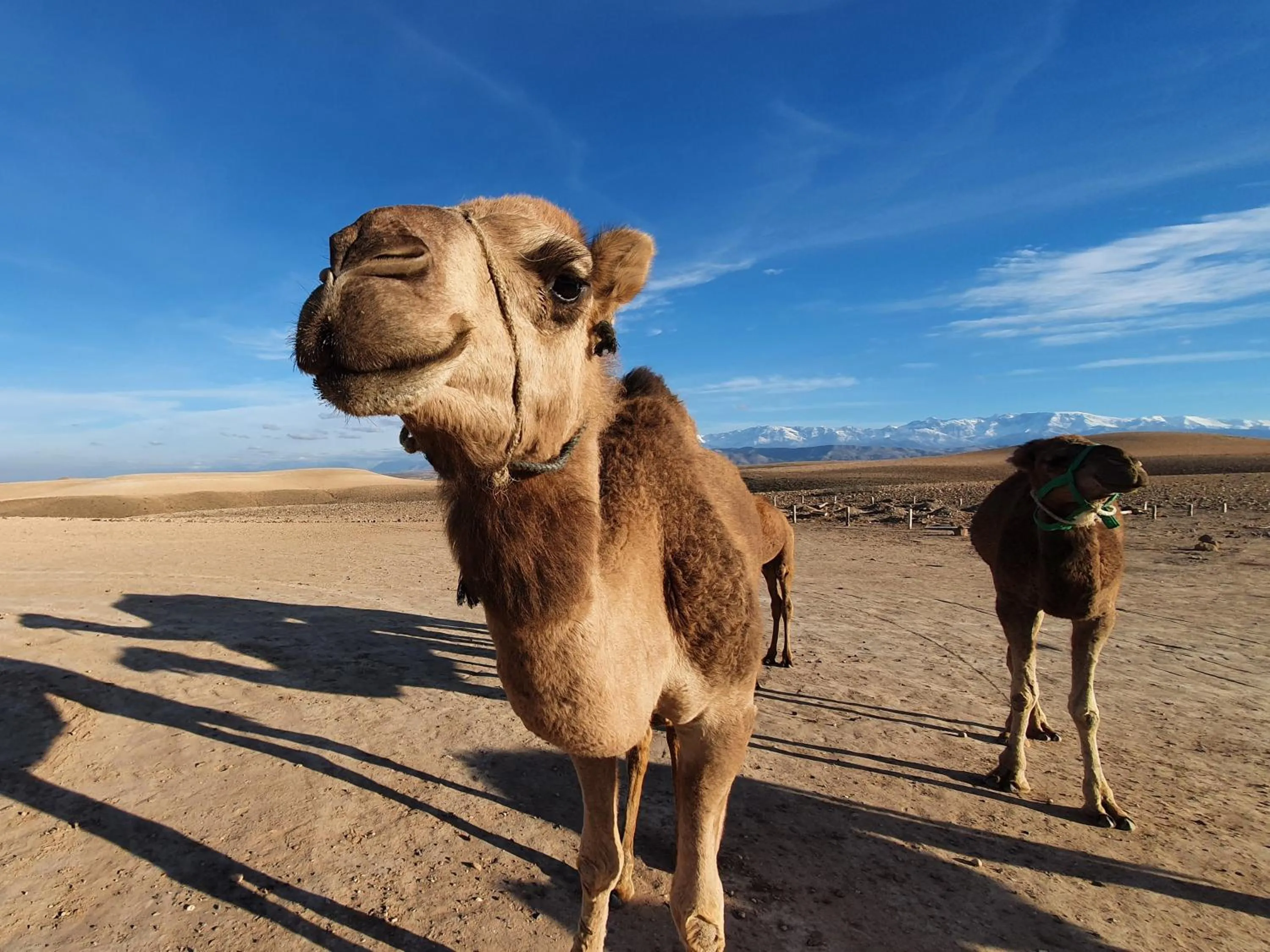 Natural landscape in Nkhila Lodge