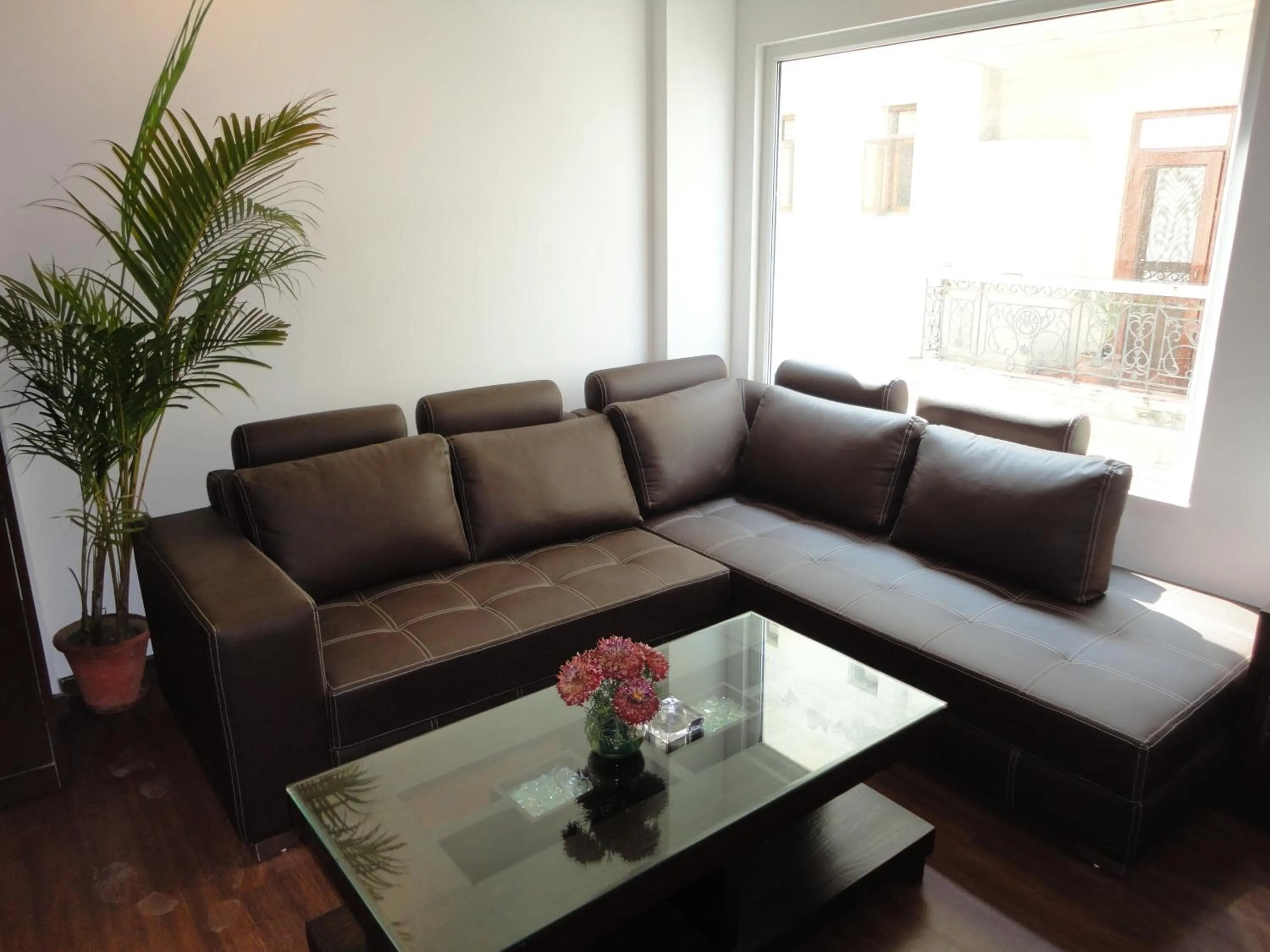 Divine Paradise Tavisha